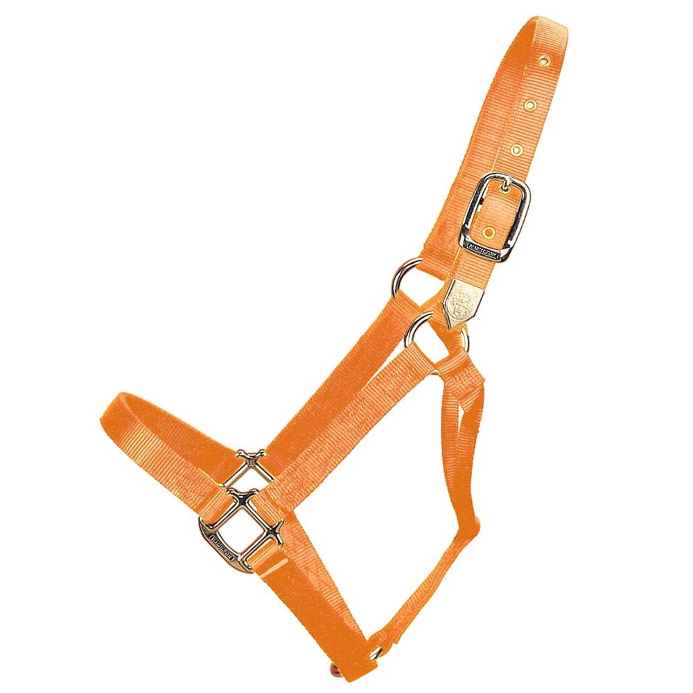 Hamilton 1" Deluxe Nylon Halter - Image 12