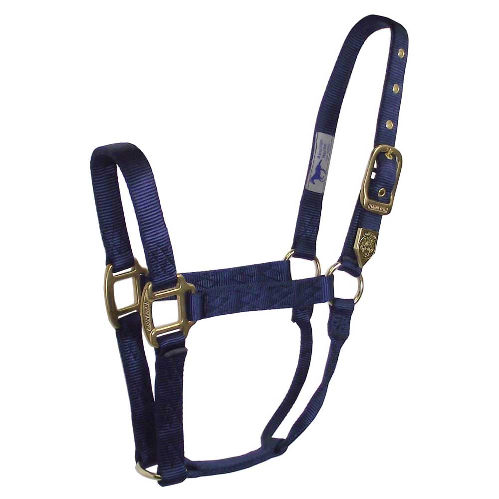 Hamilton 1" Deluxe Nylon Halter - Image 13
