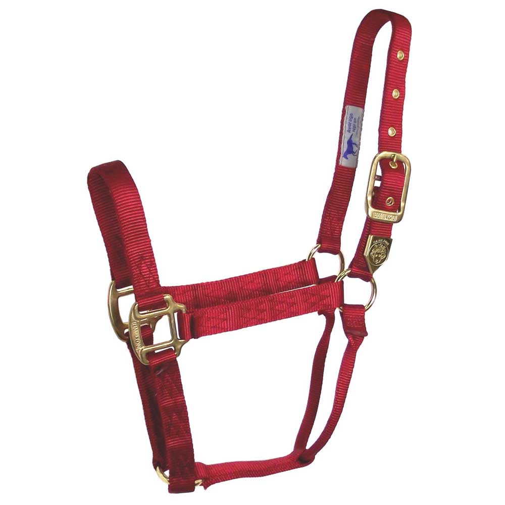 Hamilton 1" Deluxe Nylon Halter - Image 14