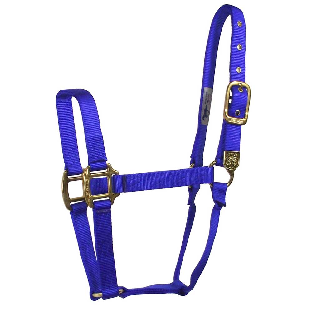 Hamilton 1" Deluxe Nylon Halter - Image 15