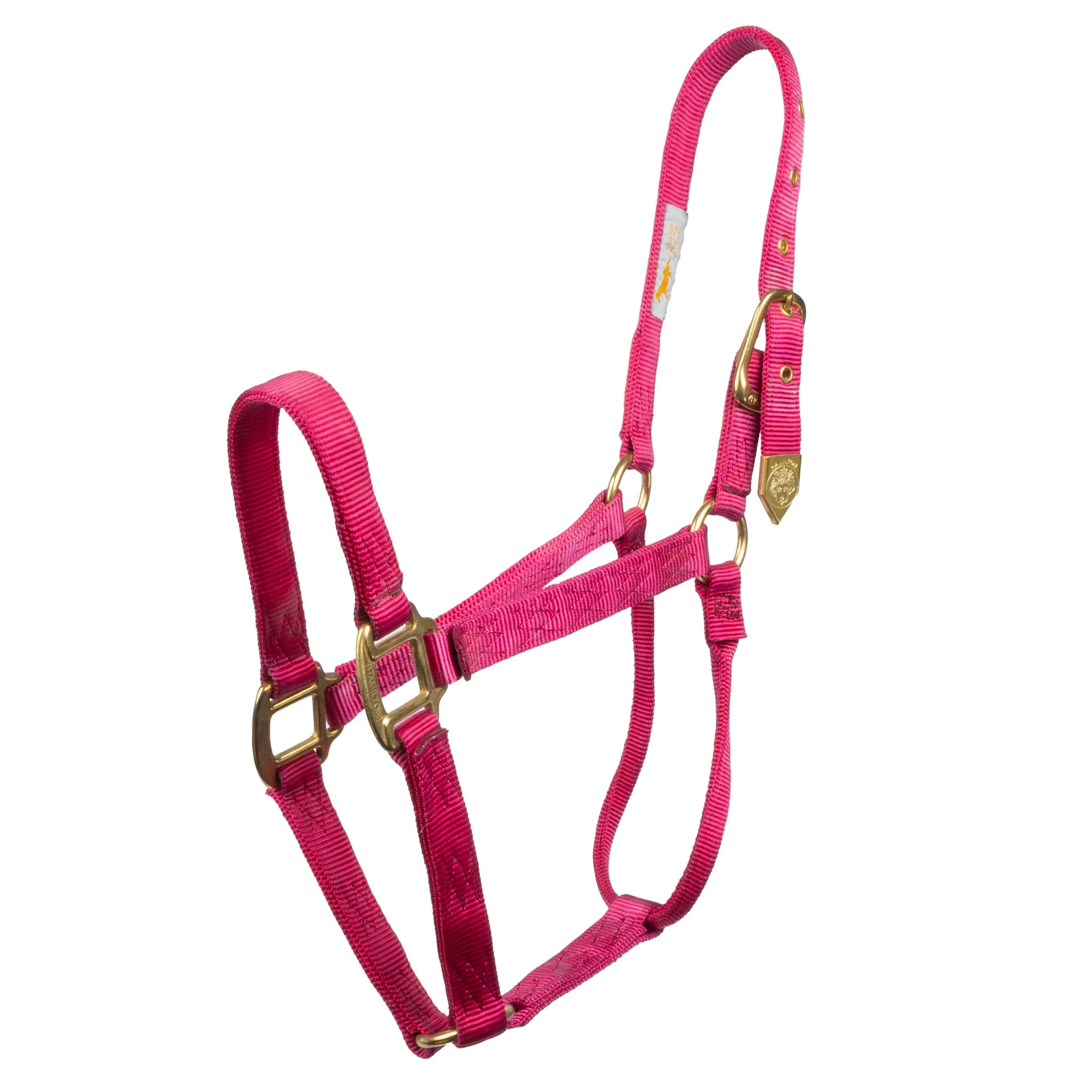 Hamilton 1" Deluxe Nylon Halter - Image 16