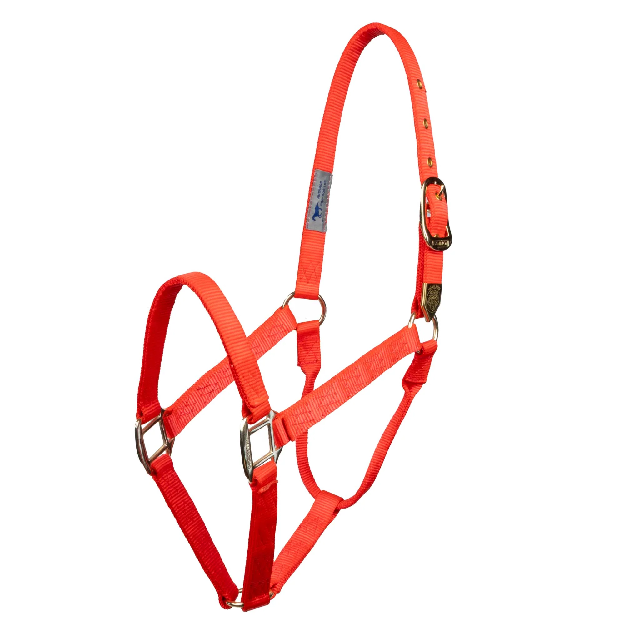 Hamilton 1" Deluxe Nylon Halter - Image 17