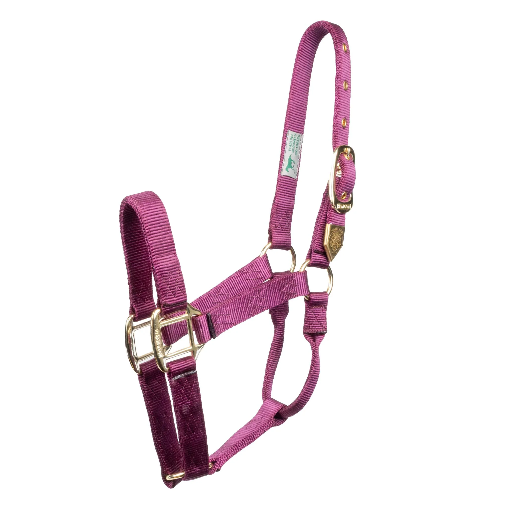 Hamilton 1" Deluxe Nylon Halter - Image 18