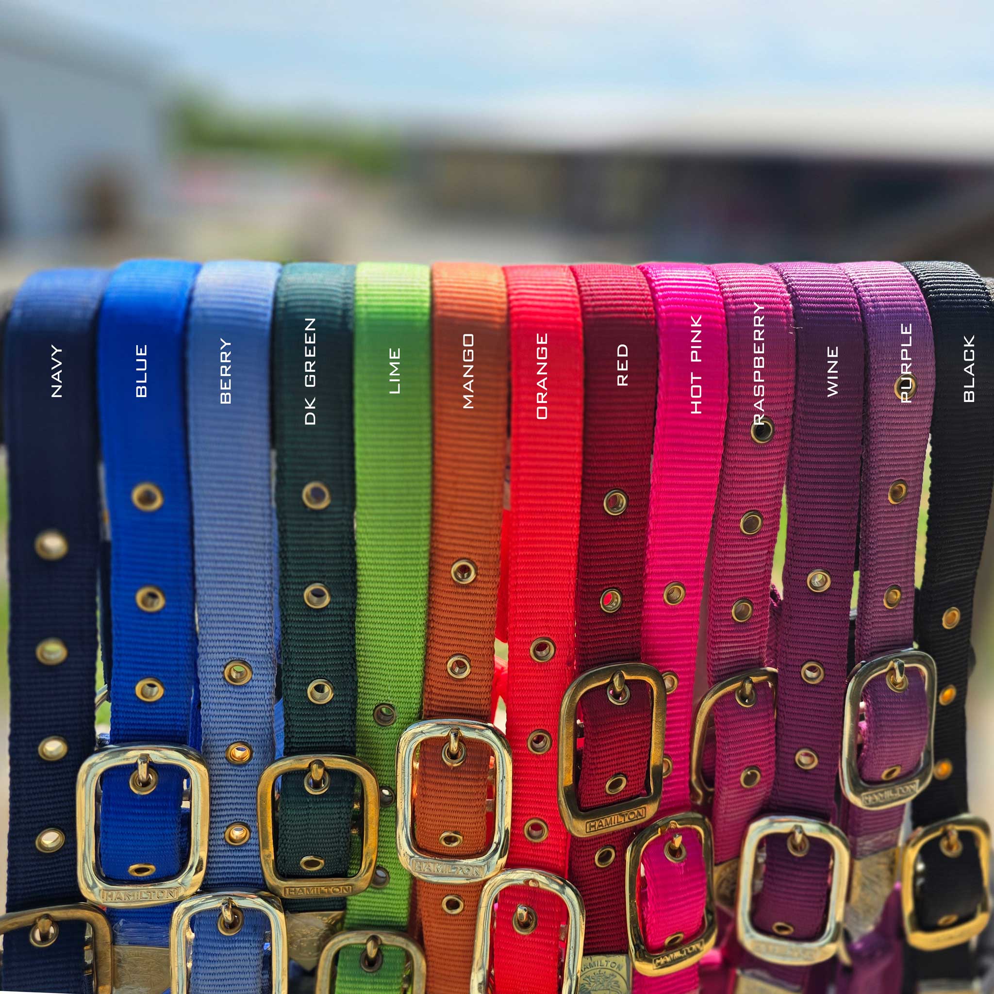 Hamilton 1" Deluxe Nylon Halter - Image 2