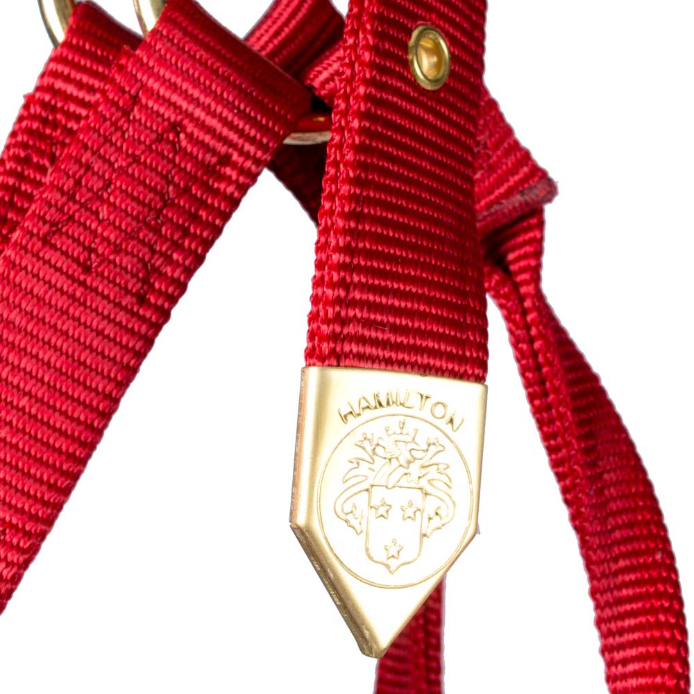 Hamilton 1" Deluxe Nylon Halter - Image 3