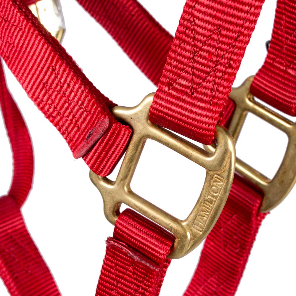 Hamilton 1" Deluxe Nylon Halter - Image 4