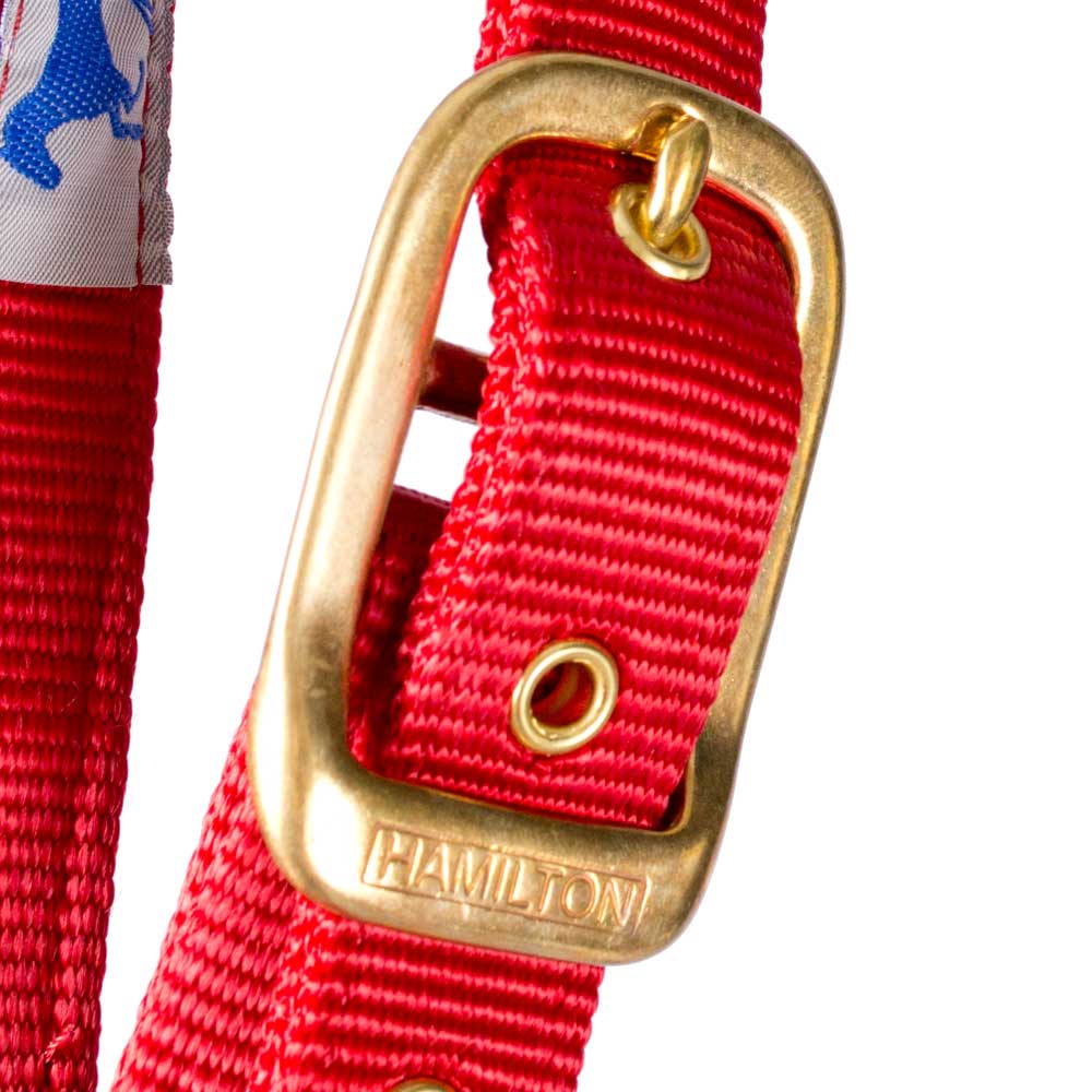 Hamilton 1" Deluxe Nylon Halter - Image 5