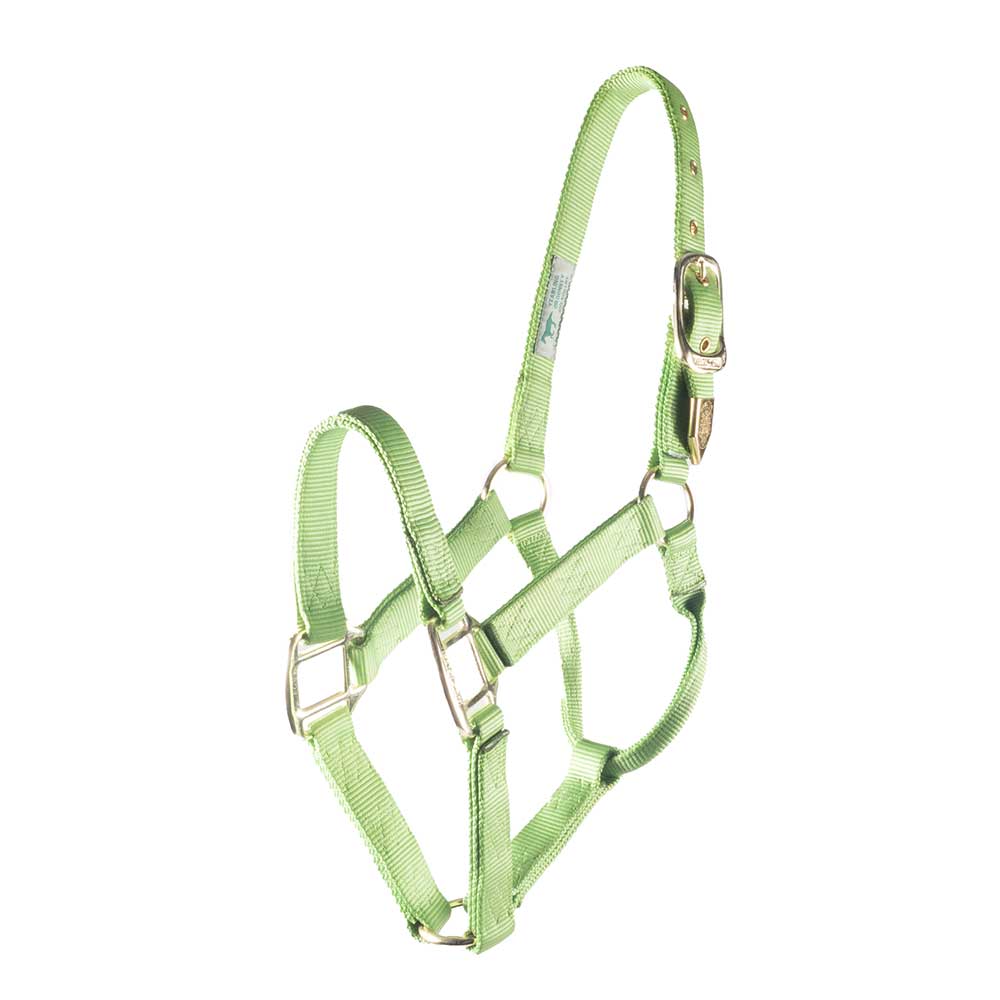 Hamilton 1" Deluxe Nylon Halter - Image 6