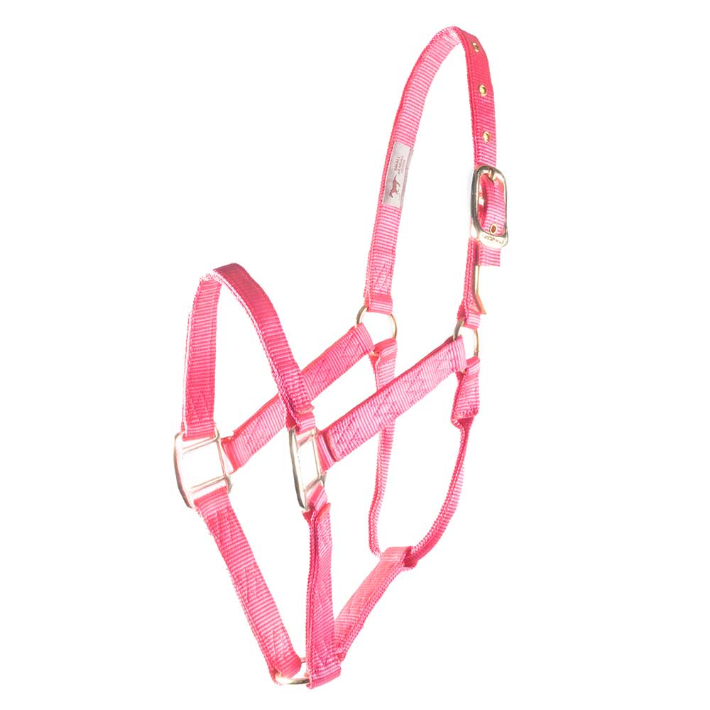 Hamilton 1" Deluxe Nylon Halter - Image 7