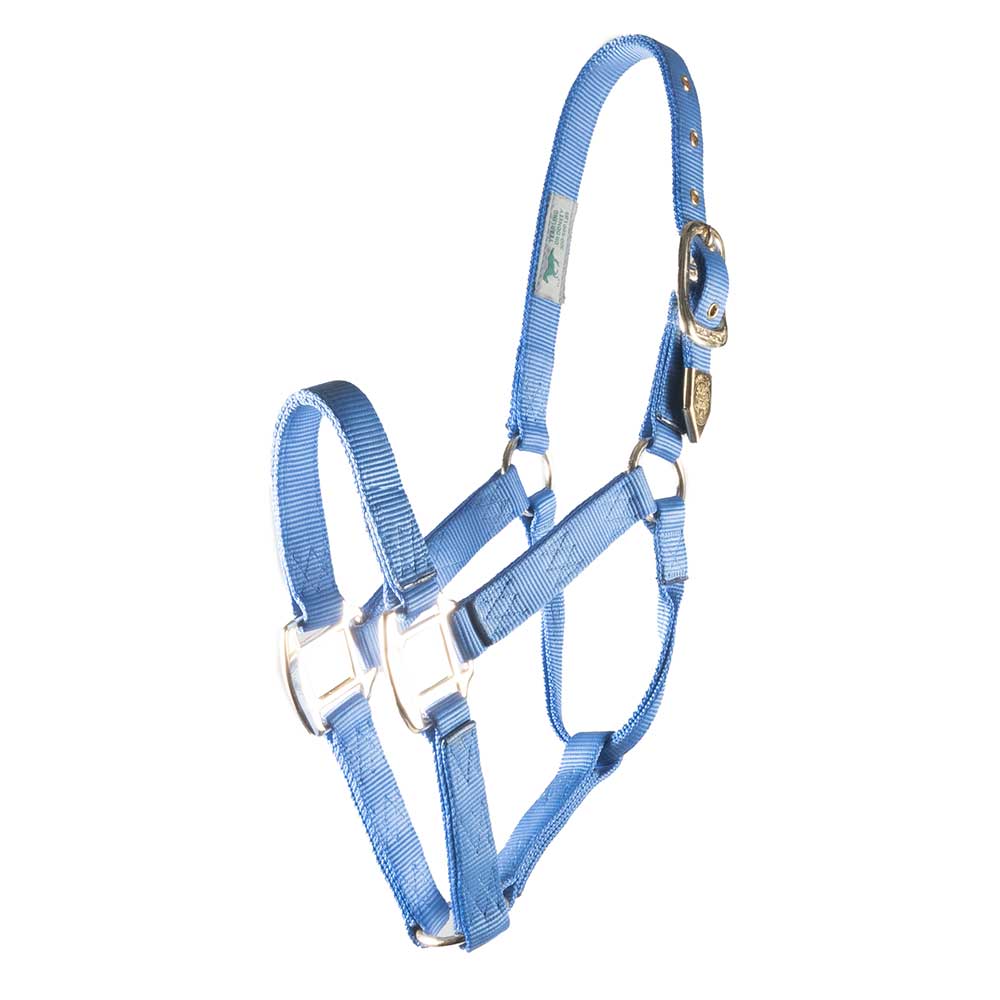 Hamilton 1" Deluxe Nylon Halter - Image 8