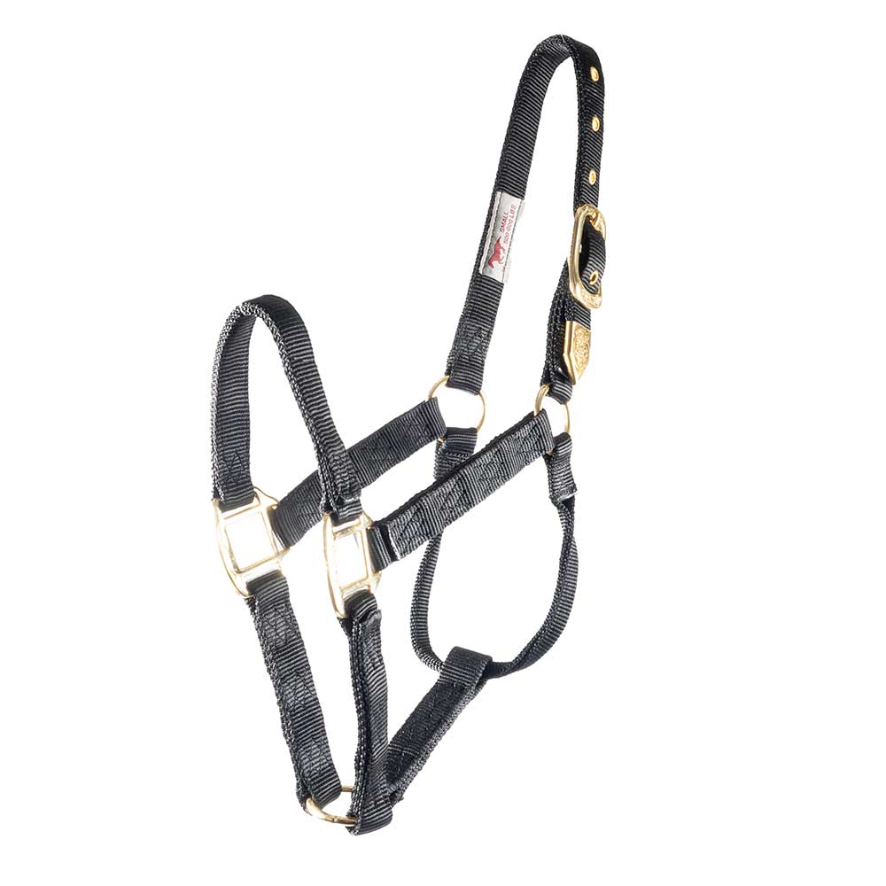 Hamilton 1" Deluxe Nylon Halter - Image 9