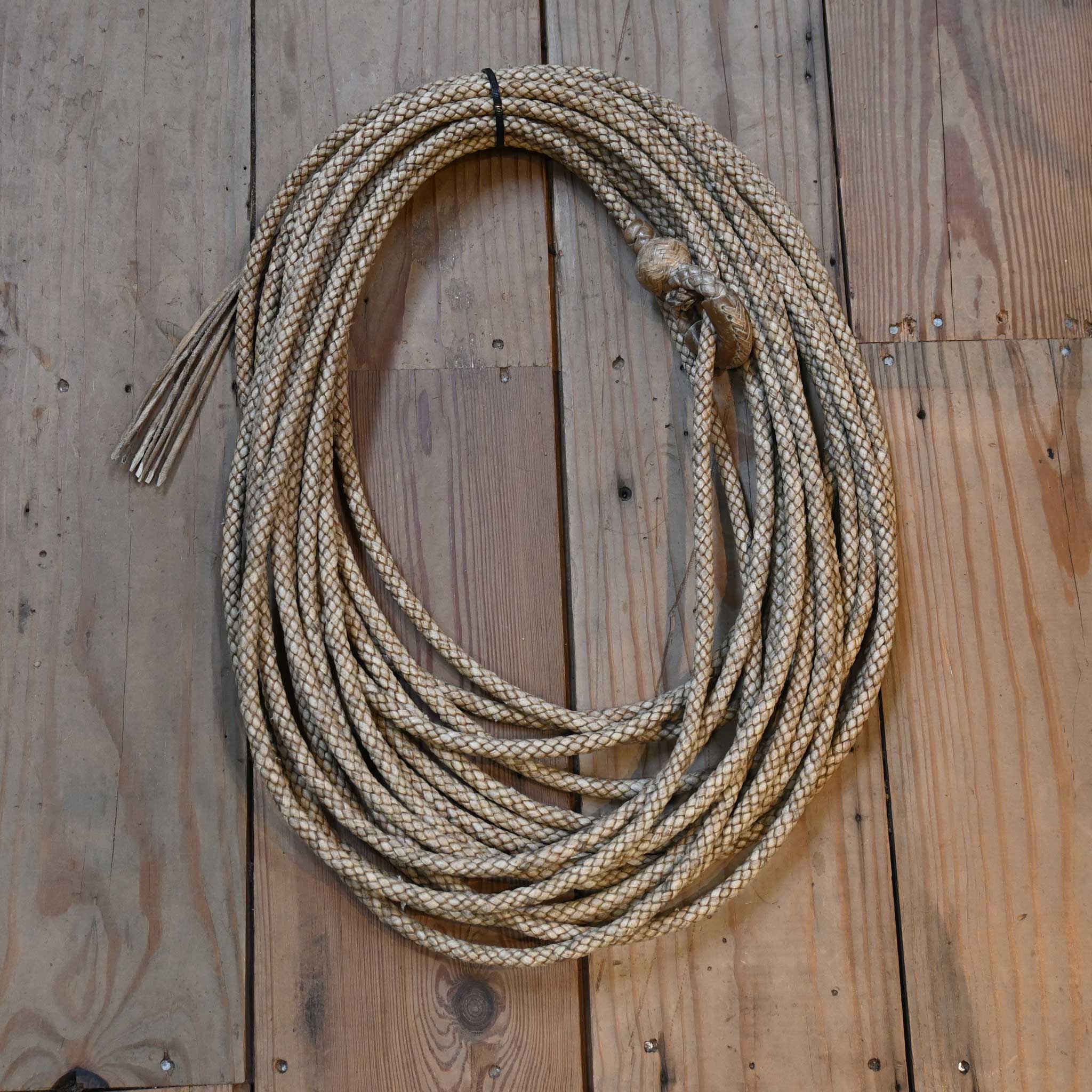 Braided Rawhide 75' Riata Rope
