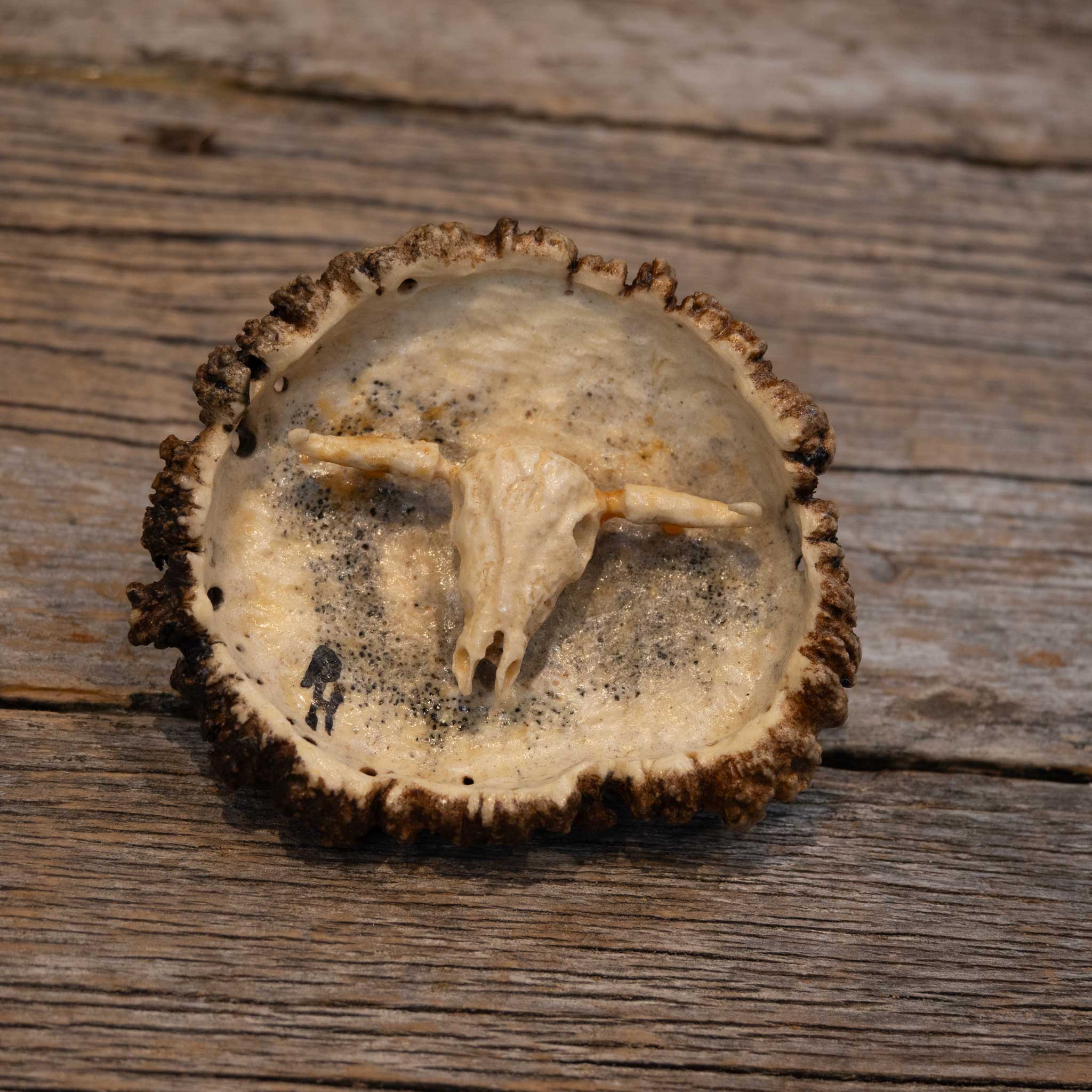 Handmade Steer Skull Elk Button Belt Buckle - Image 2