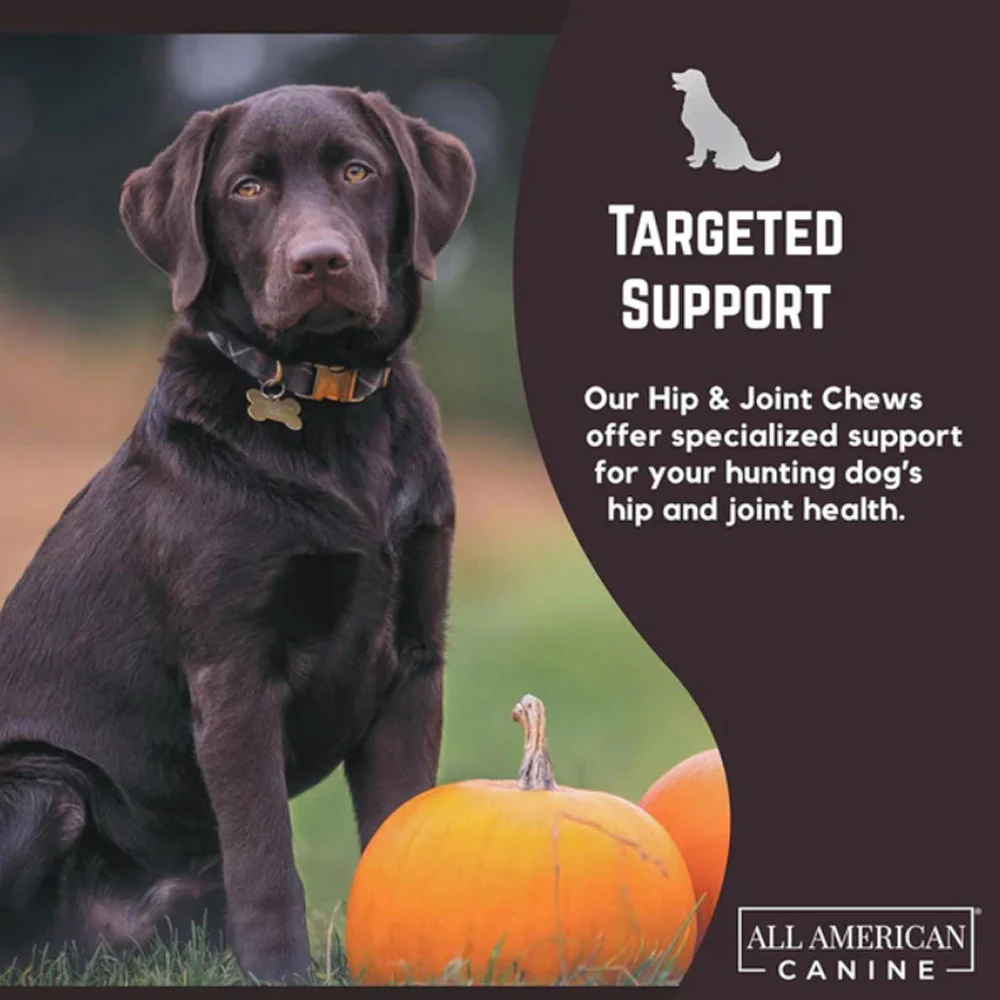 Hip & Joint Support Soft Chews - Image 5