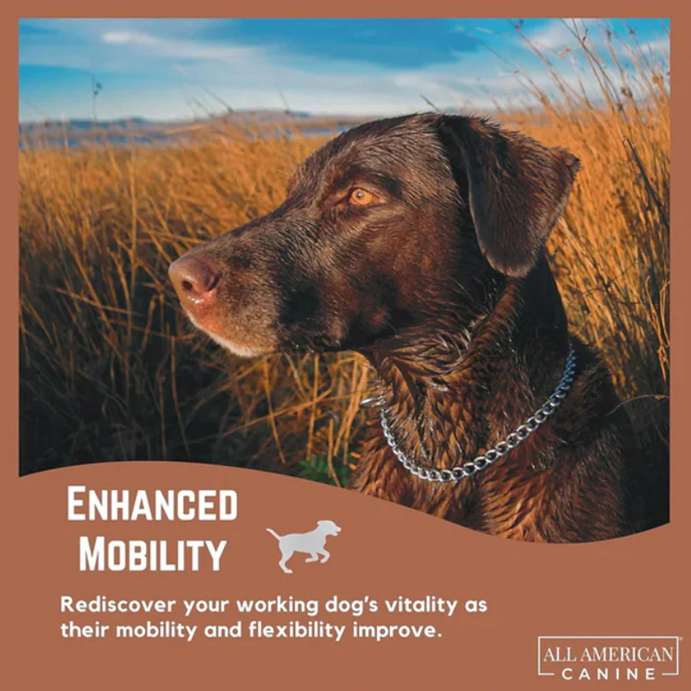 Hip & Joint Support Soft Chews - Image 6