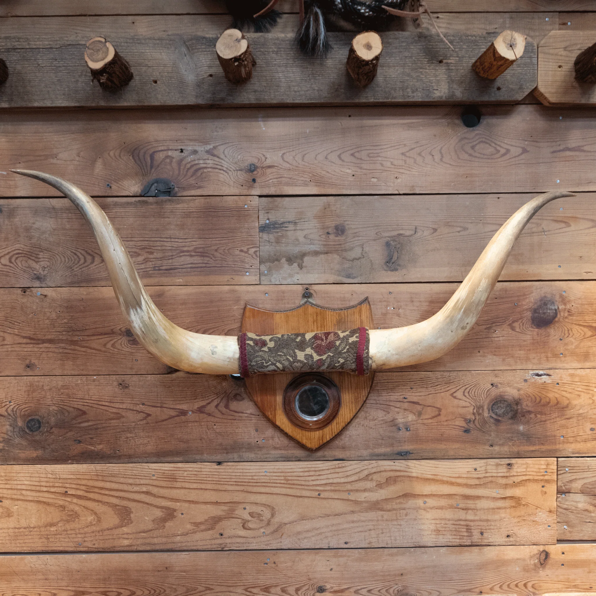 Early 1900's Mounted Horns with Mirror - Image 2