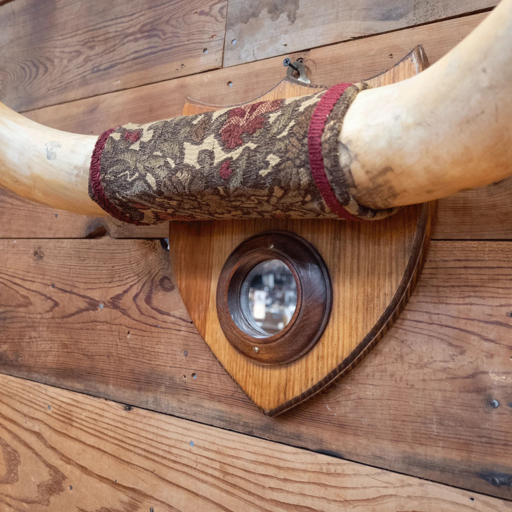 Early 1900's Mounted Horns with Mirror - Image 4