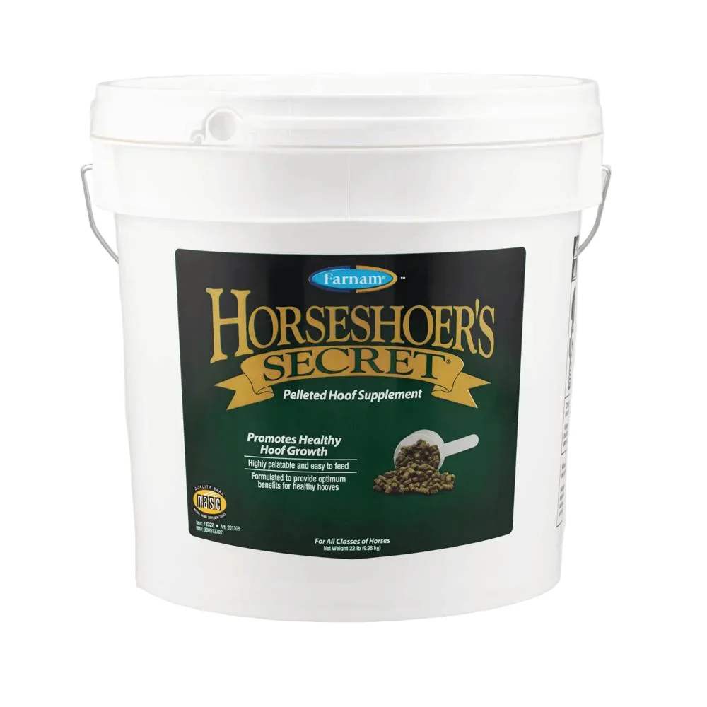 Horseshoer's Secret - Image 2