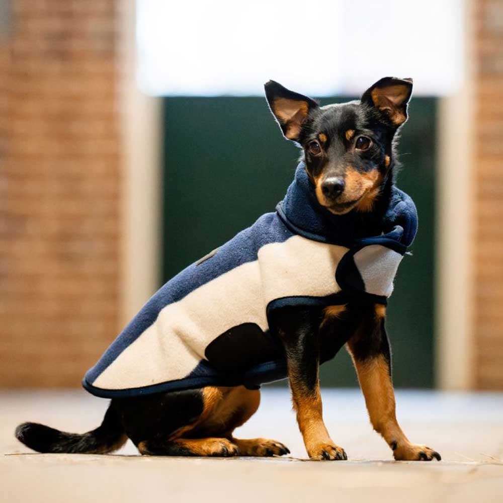 Horseware Newmarket Dog Fleece - Witney Navy - Image 2