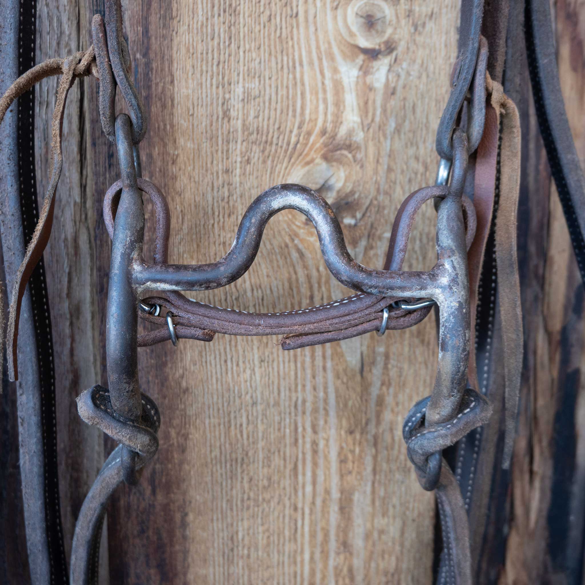 JD Bits Solid Port Bridle Rig w/Split Ear Headstall - Image 2