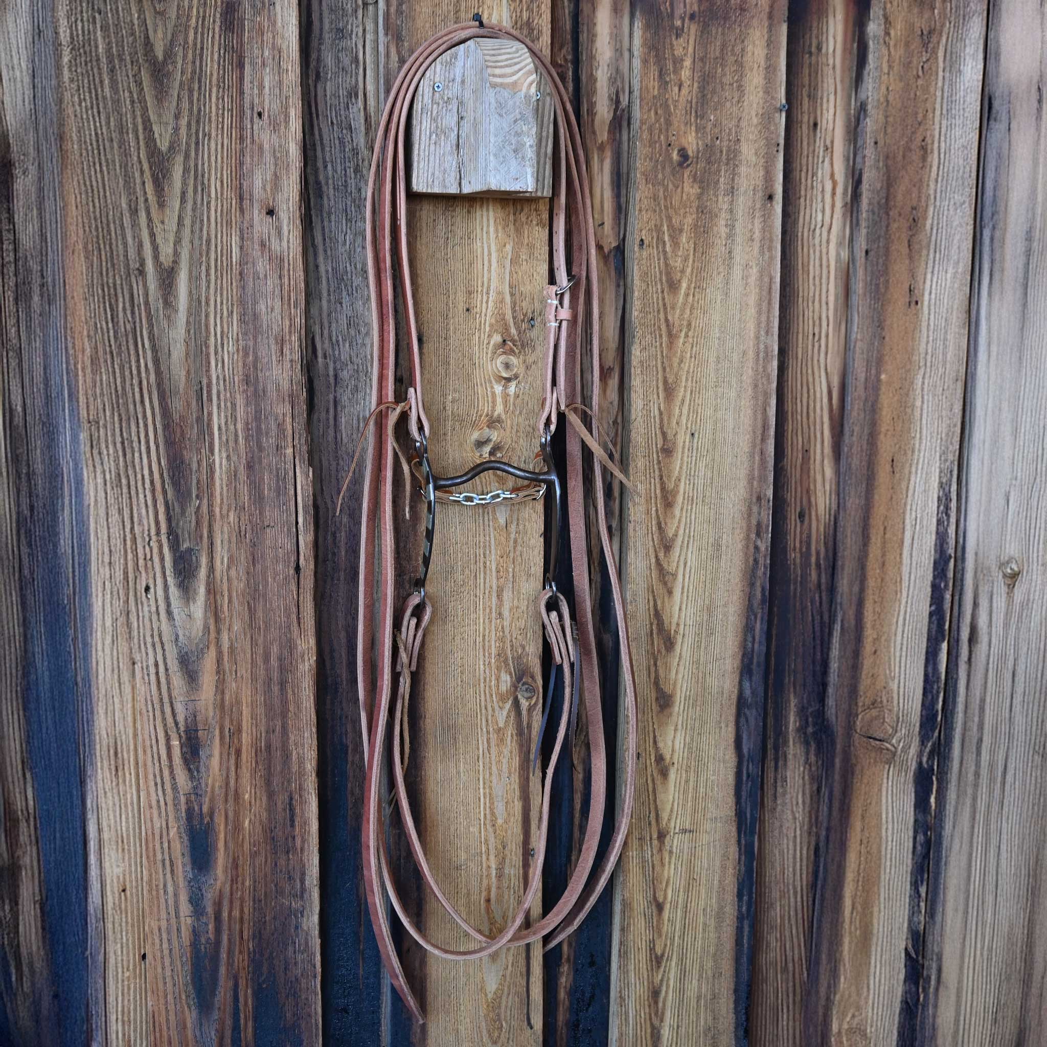 Jeff Payne Low Port Bridle Rig w/All New Leather - Image 4