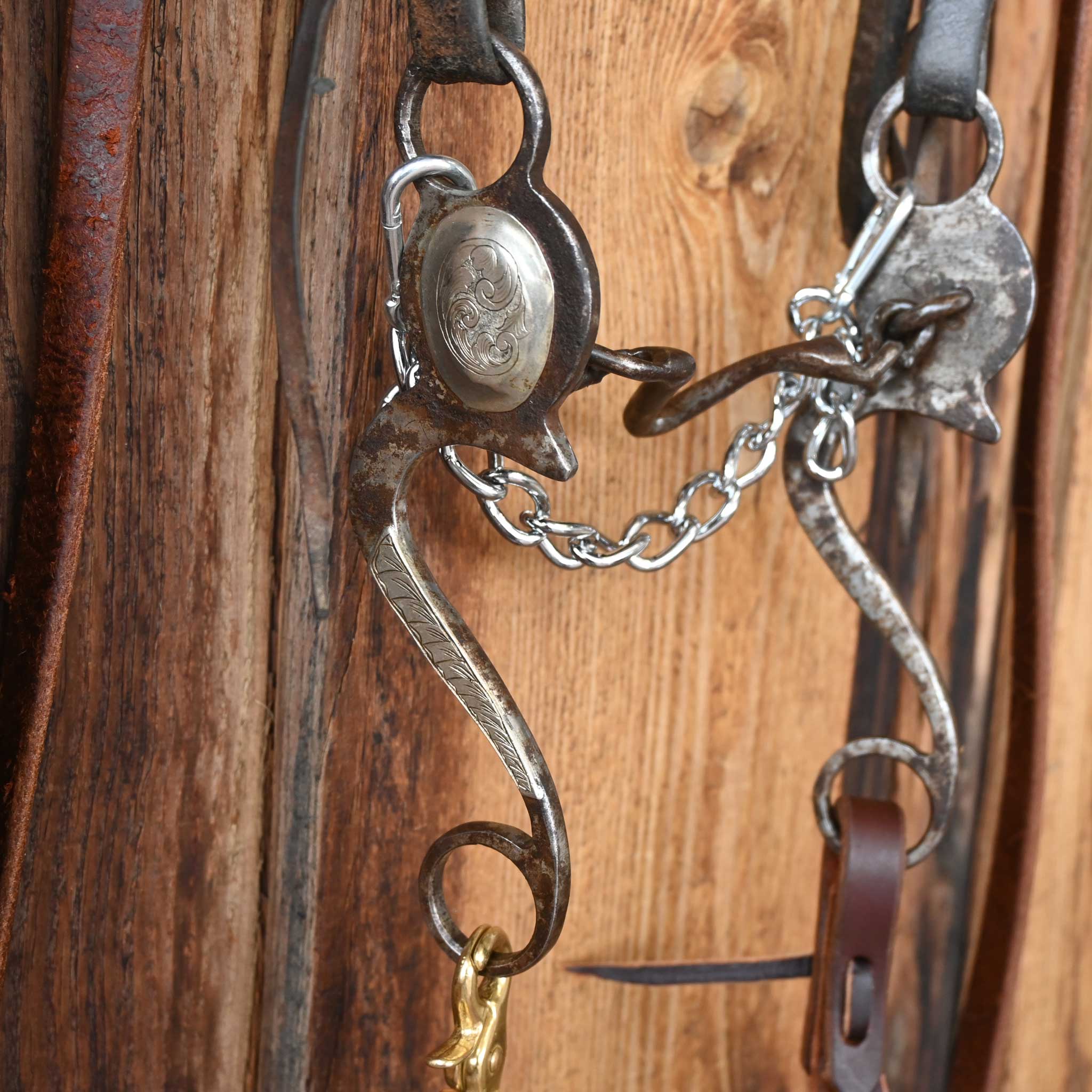 Josh Mardis Ported Chain Bridle Rig w/Split Ear Headstall
