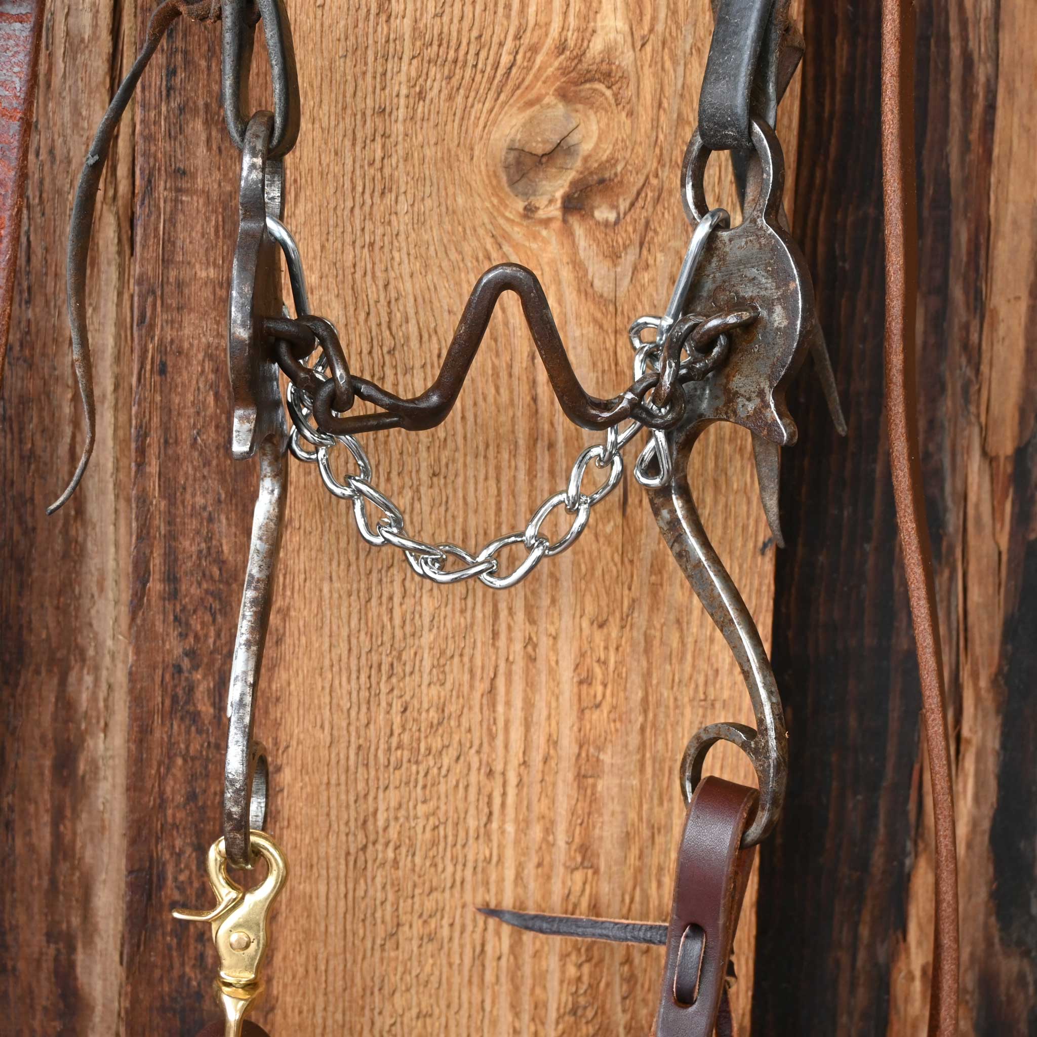 Josh Mardis Ported Chain Bridle Rig w/Split Ear Headstall - Image 2