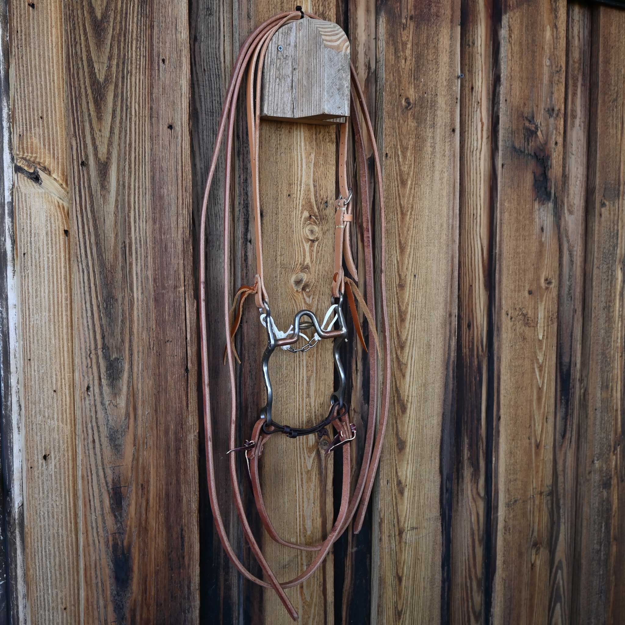 Josh Ownbey Solid Port Bridle Rig w/ Split Ear Headstall - Image 4