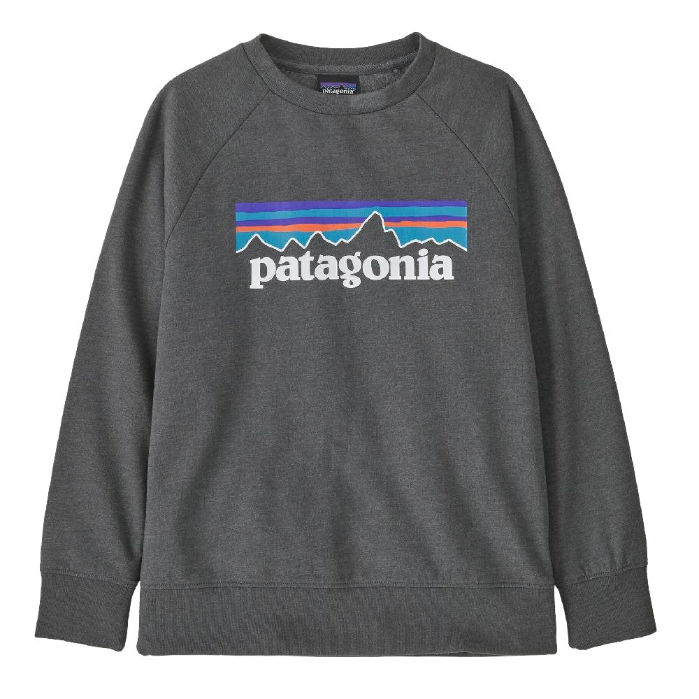 Patagonia Kid's Lightweight Crew Sweatshirt