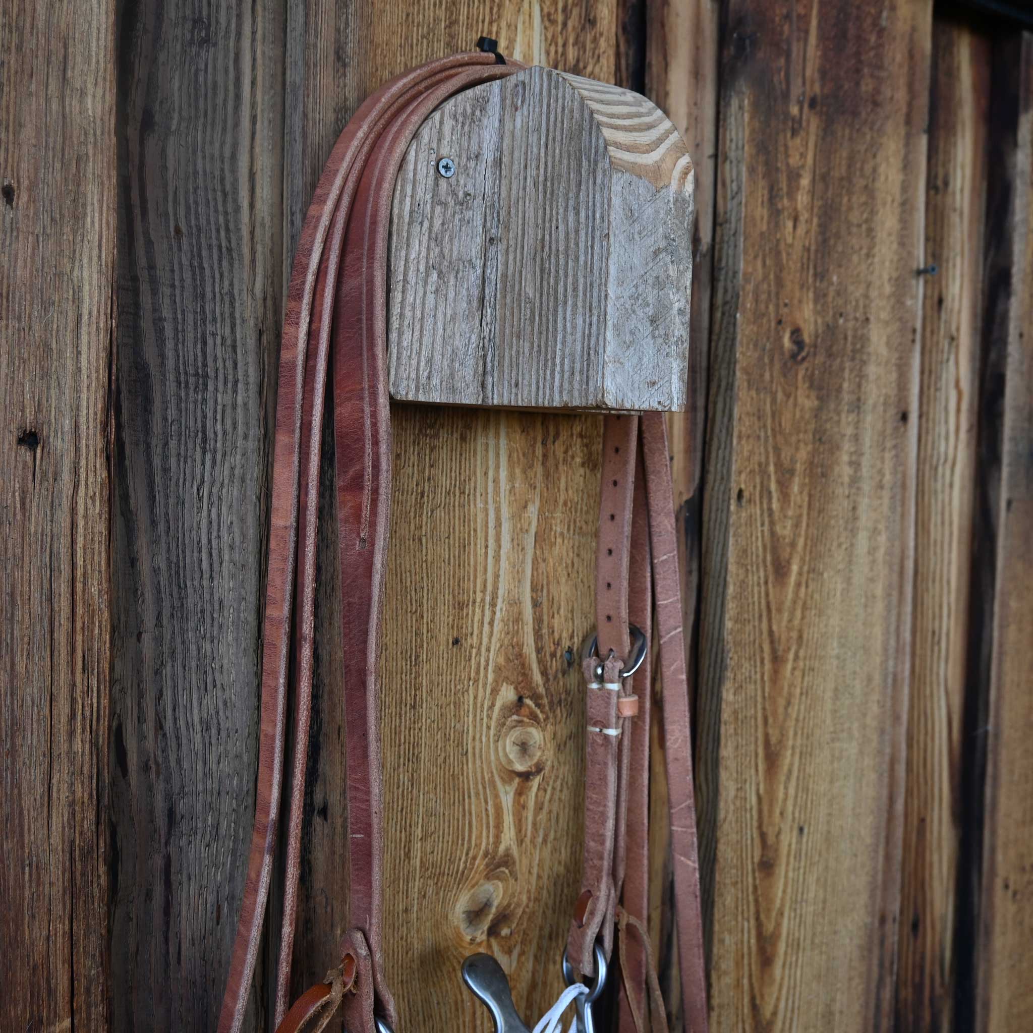 Kerry Kelley 02S Cathedral Bridle Rig w/Split Ear Headstall - Image 3