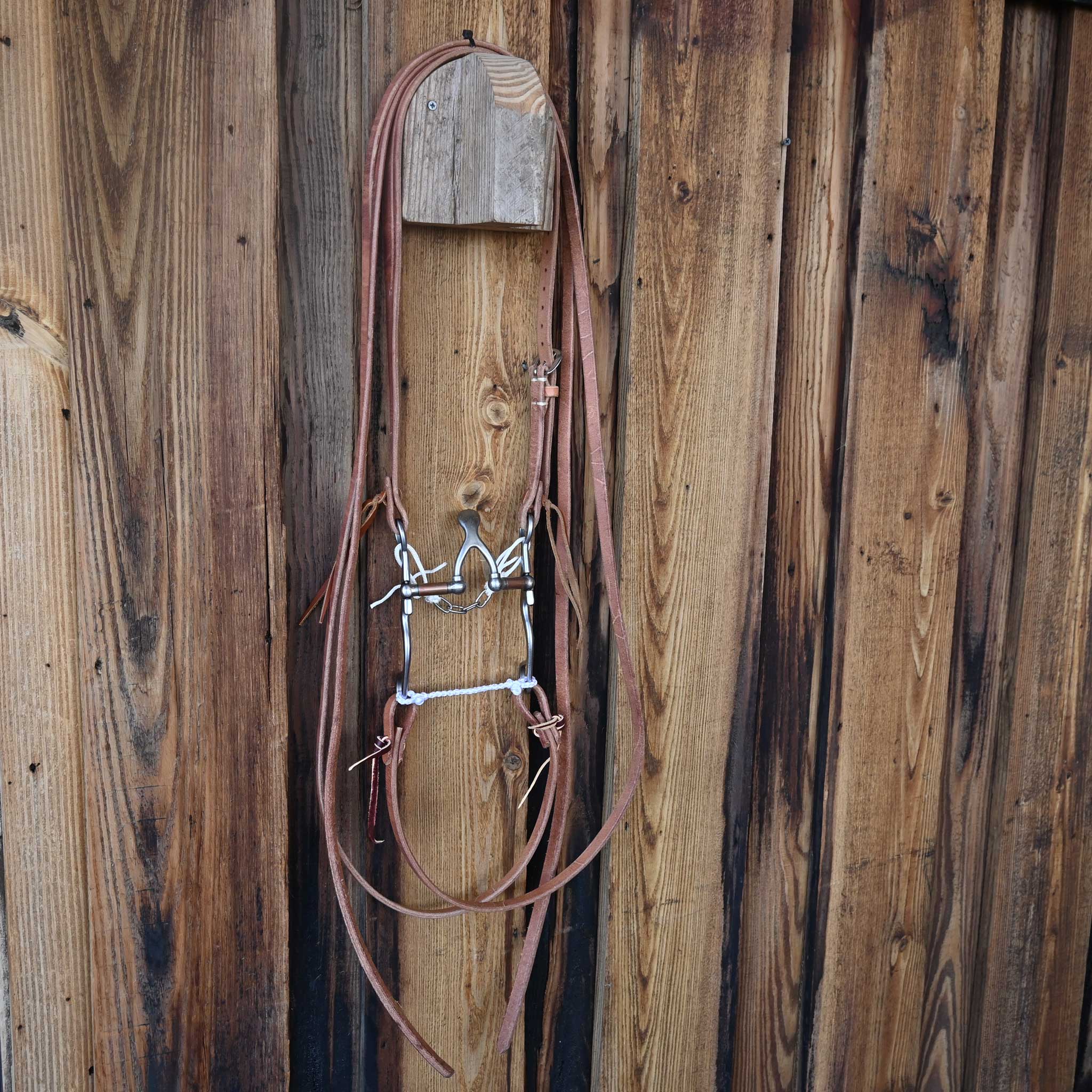 Kerry Kelley 02S Cathedral Bridle Rig w/Split Ear Headstall - Image 4
