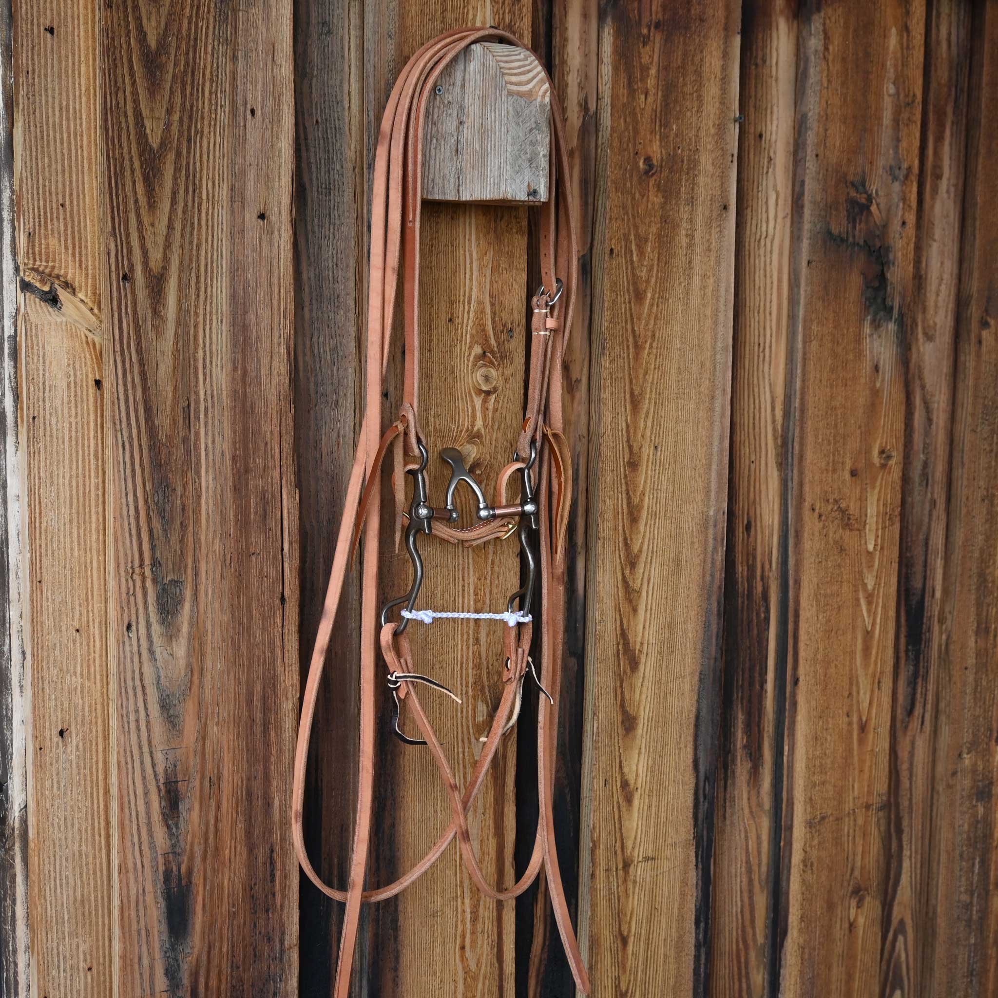 Kerry Kelley 02S Cathedral Bridle Rig w/All New Leather - Image 4