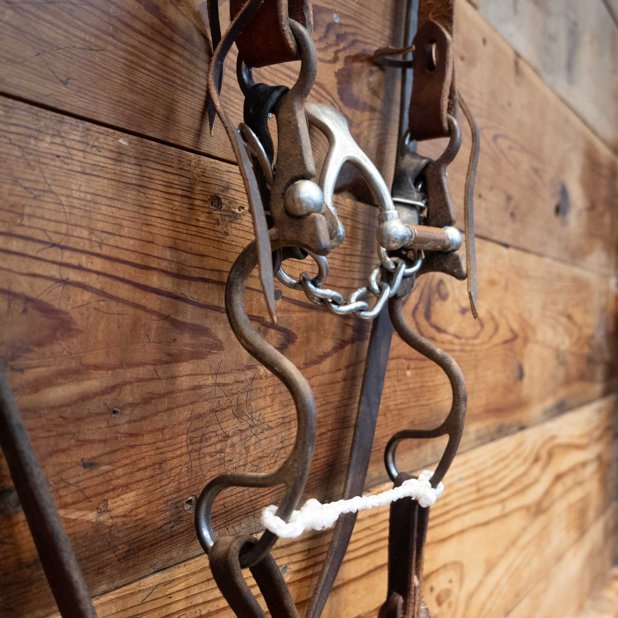 Kerry Kelley 10 Cathedral Bridle Rig