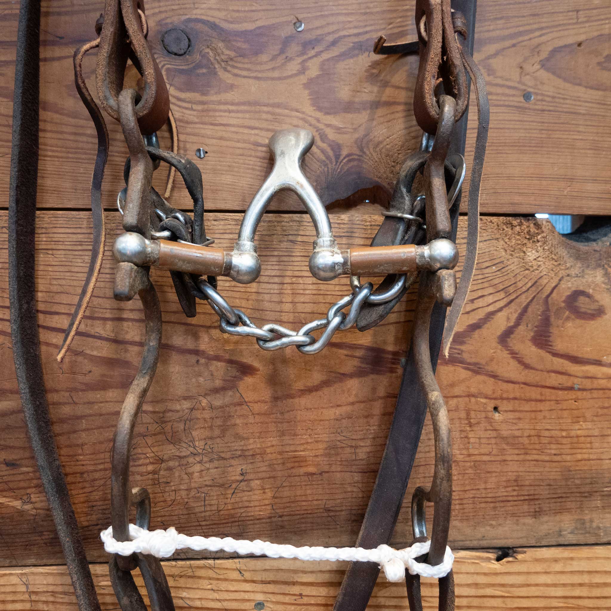 Kerry Kelley 10 Cathedral Bridle Rig - Image 2
