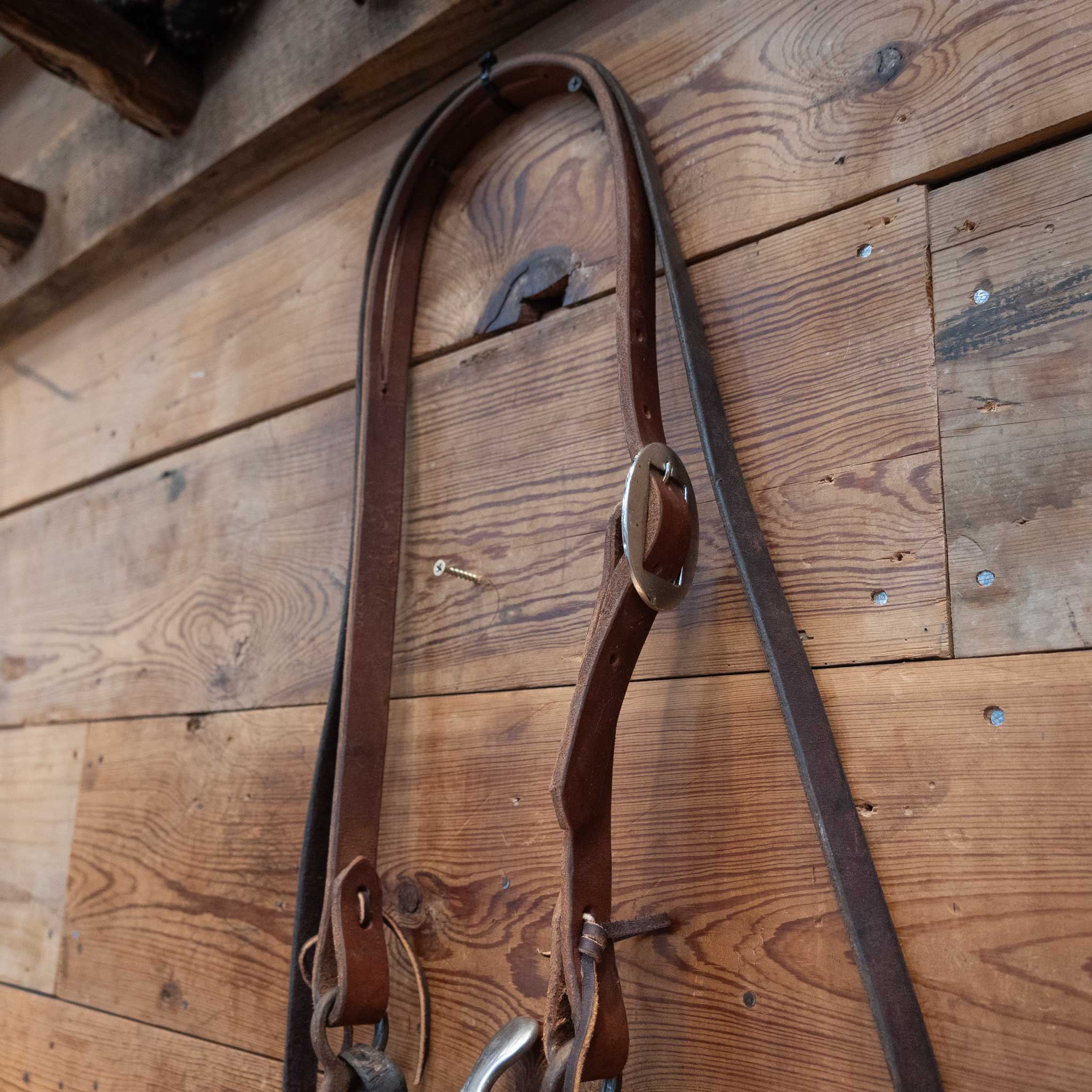 Kerry Kelley 10 Cathedral Bridle Rig - Image 3