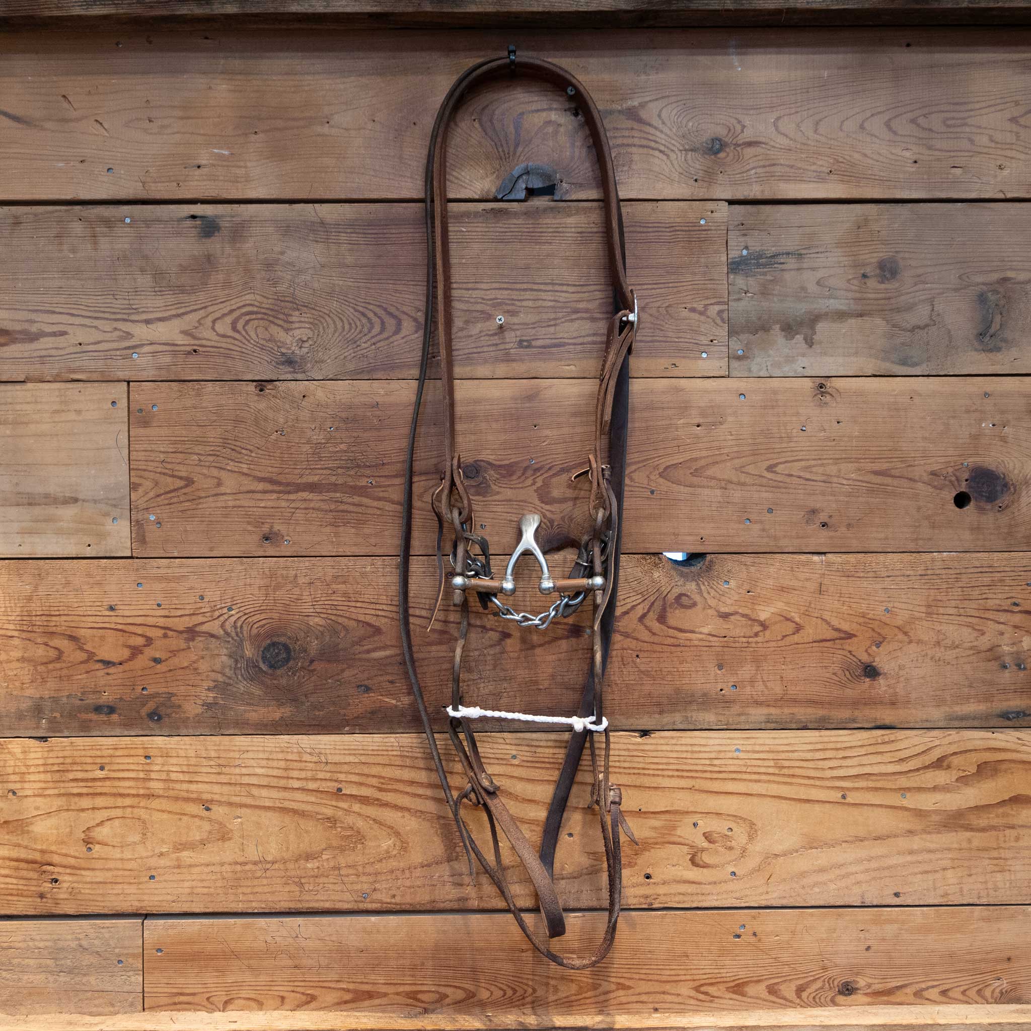 Kerry Kelley 10 Cathedral Bridle Rig - Image 4