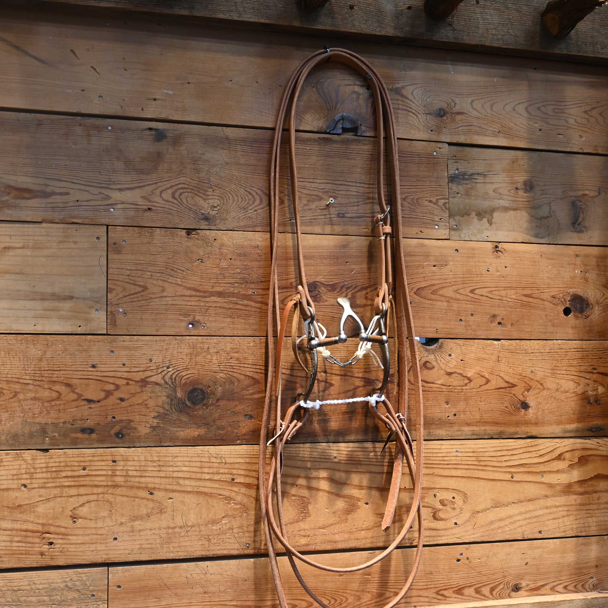 Kerry Kelley 65 Cathedral Bridle Rig - Image 2