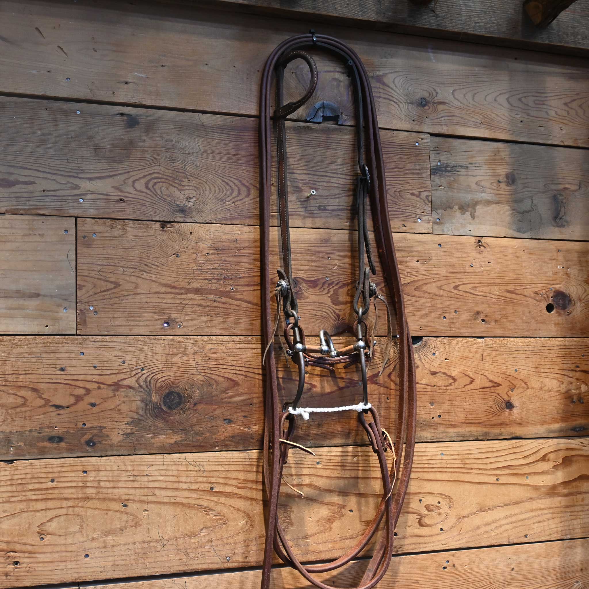 Kerry Kelley 65 Cathedral Bridle Rig - Image 3