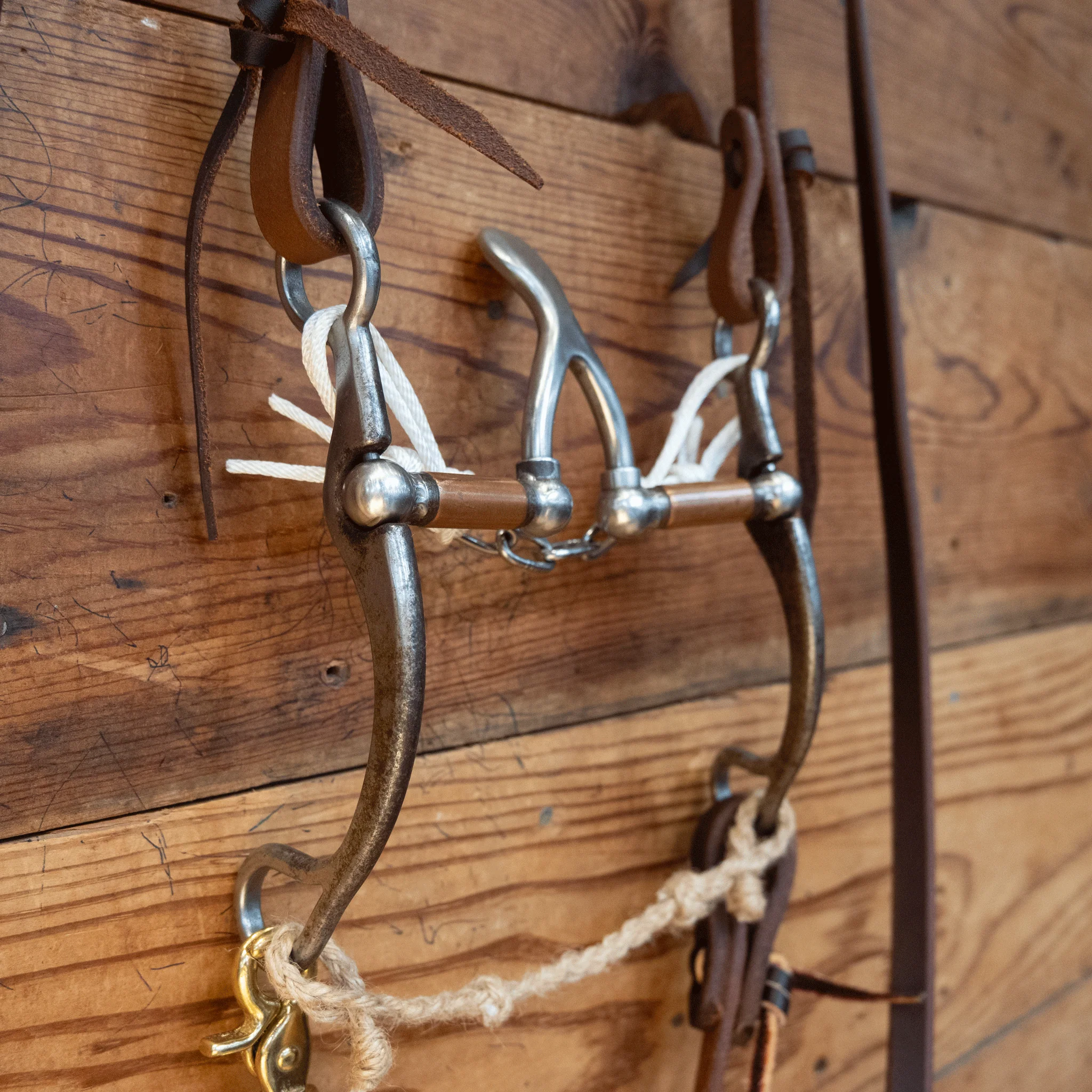 Kerry Kelley Cathedral Bridle Rig