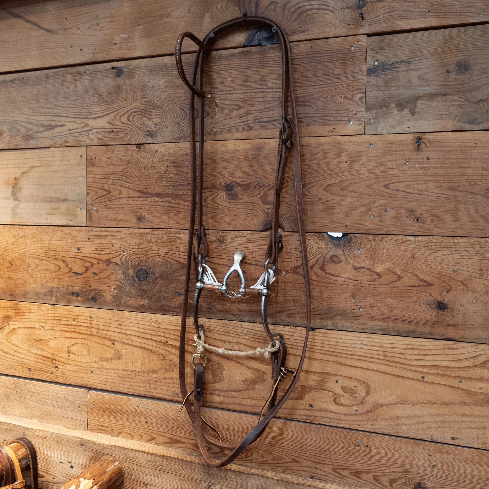 Kerry Kelley Cathedral Bridle Rig - Image 3