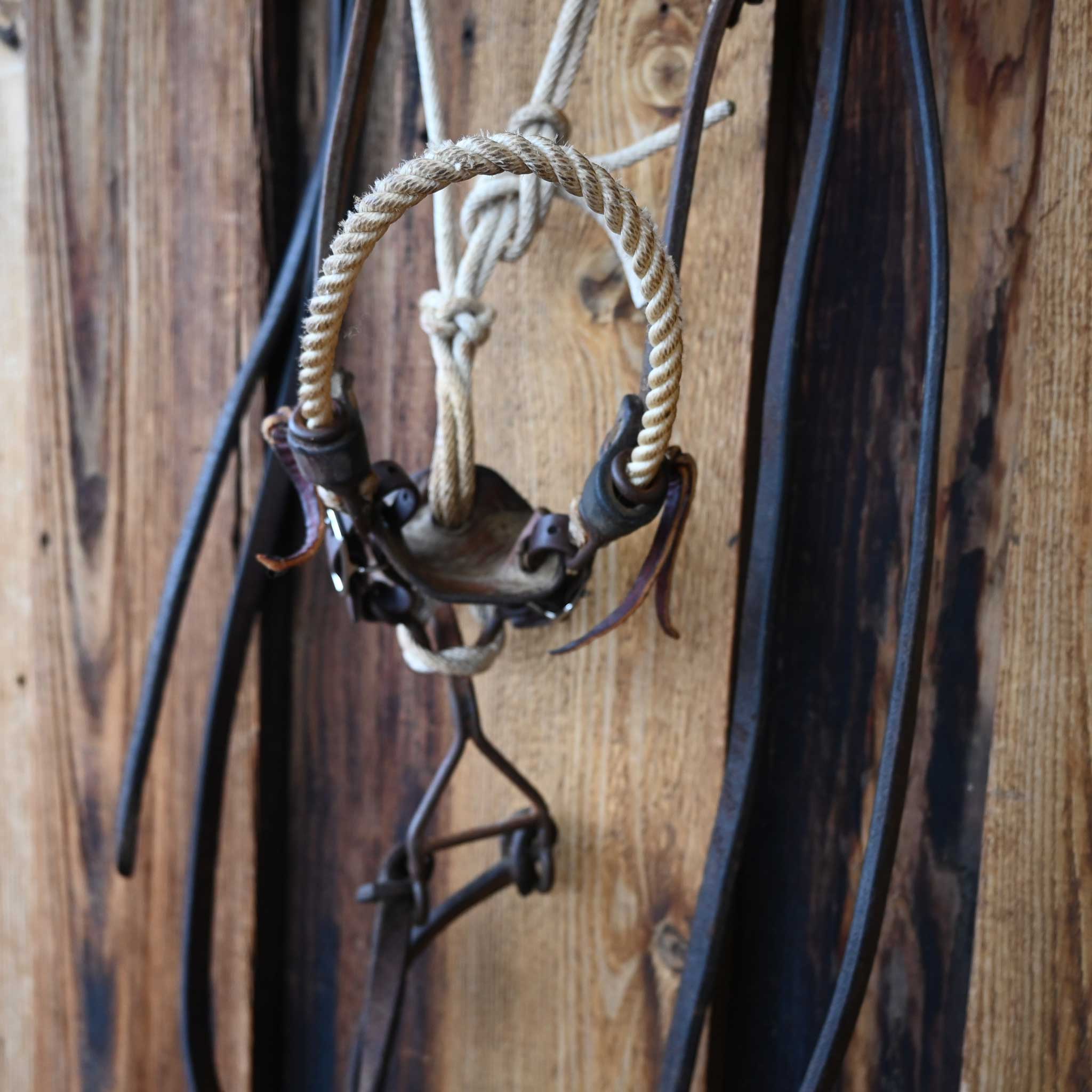 Lariat Hackamore Bridle Rig w/ Browband Headstall