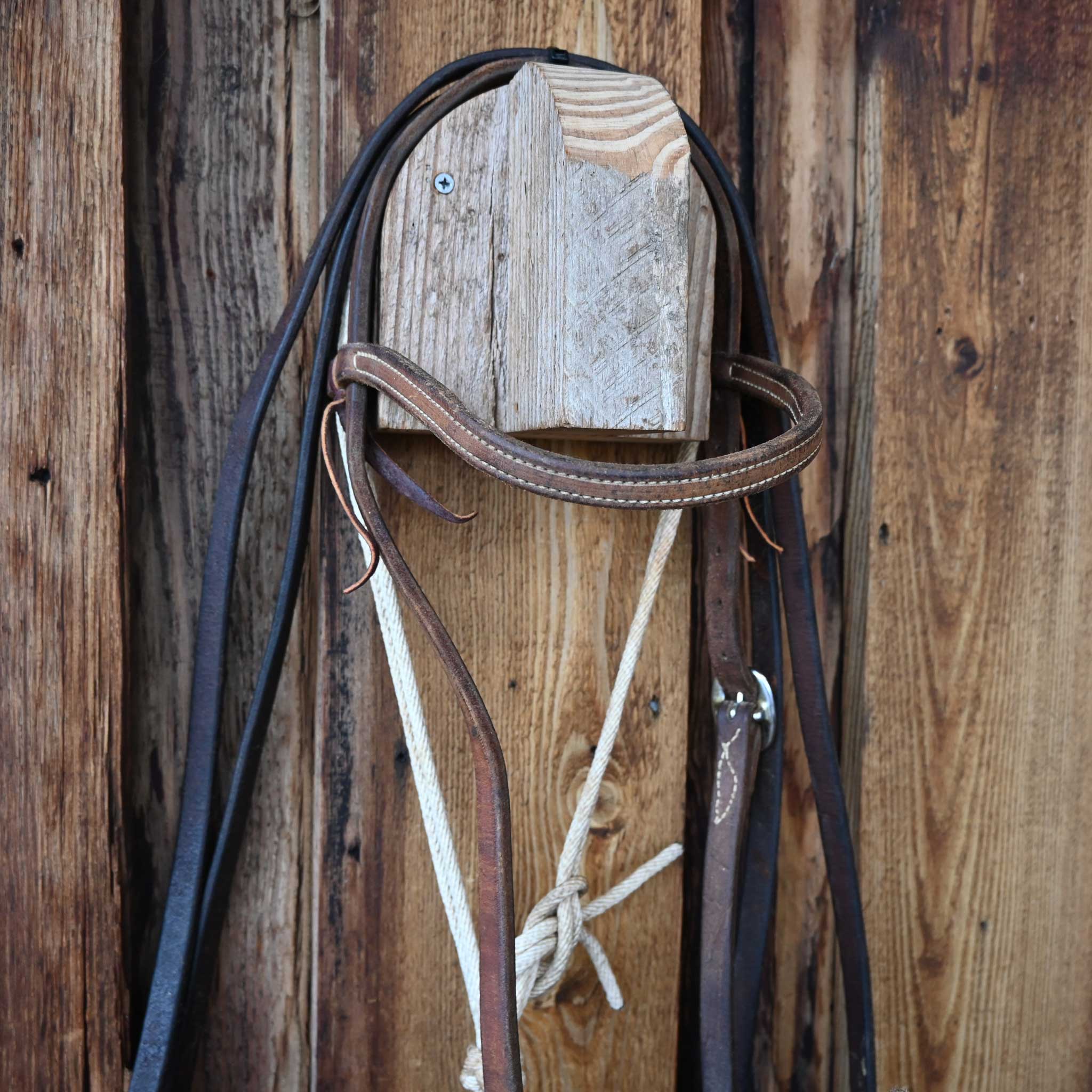 Lariat Hackamore Bridle Rig w/ Browband Headstall - Image 2