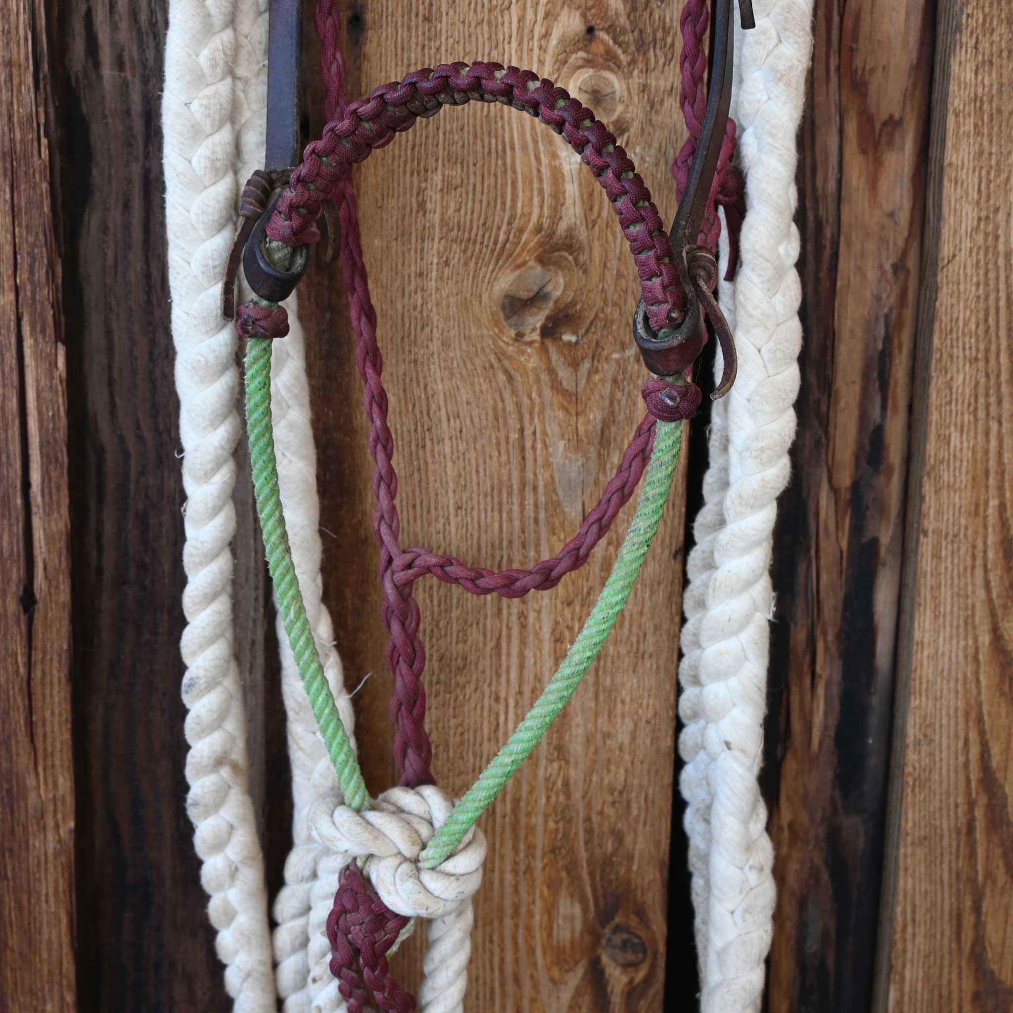 Loping Hackamore - Image 2
