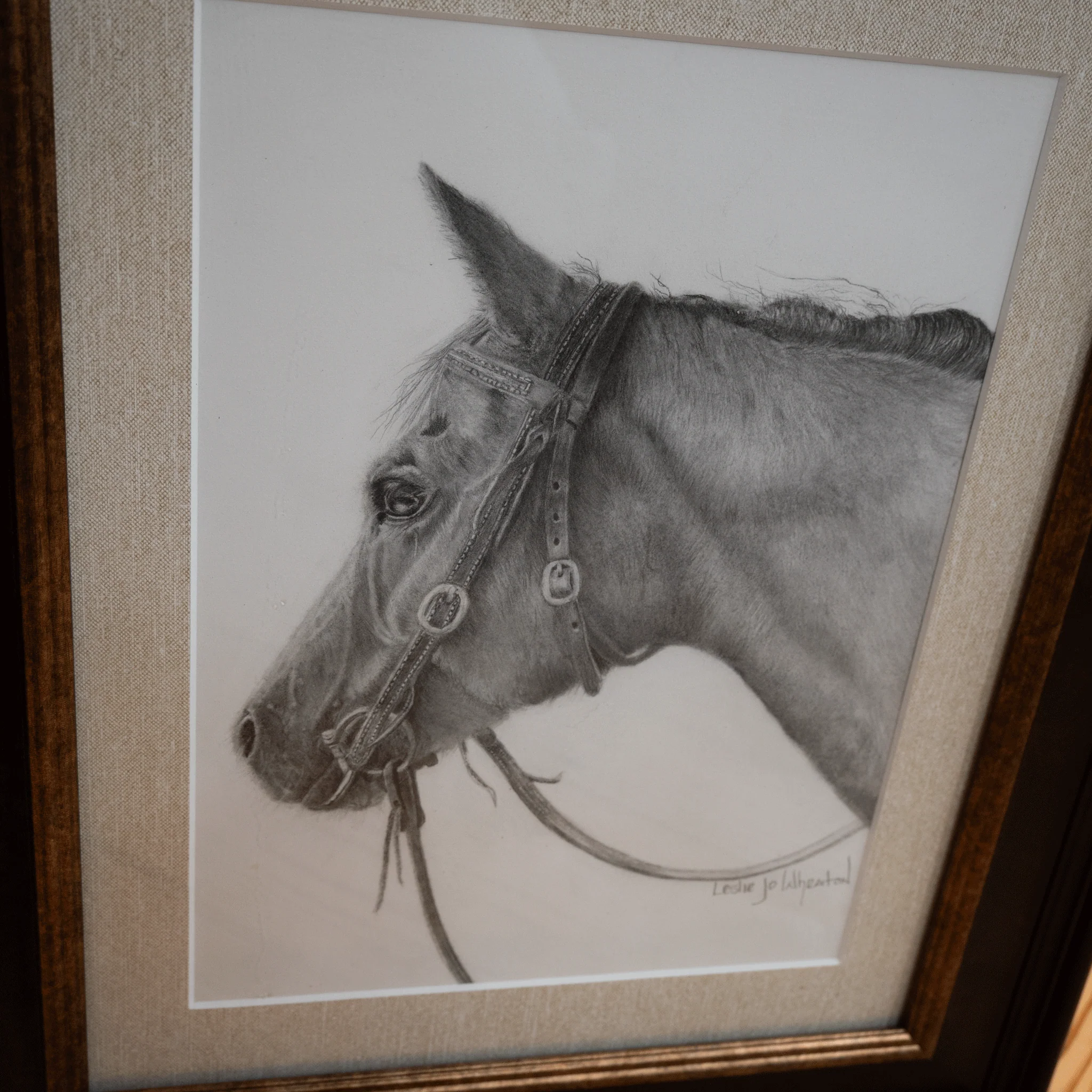 Original Framed Pencil Sketch of Bridled Horse by Leslie Jo Wheaton - Image 3