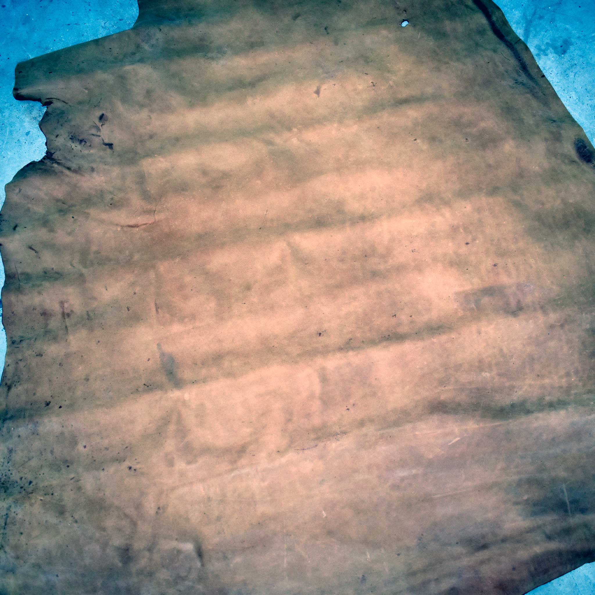 NEW Light Brown Buffed Leather Hide - Image 2