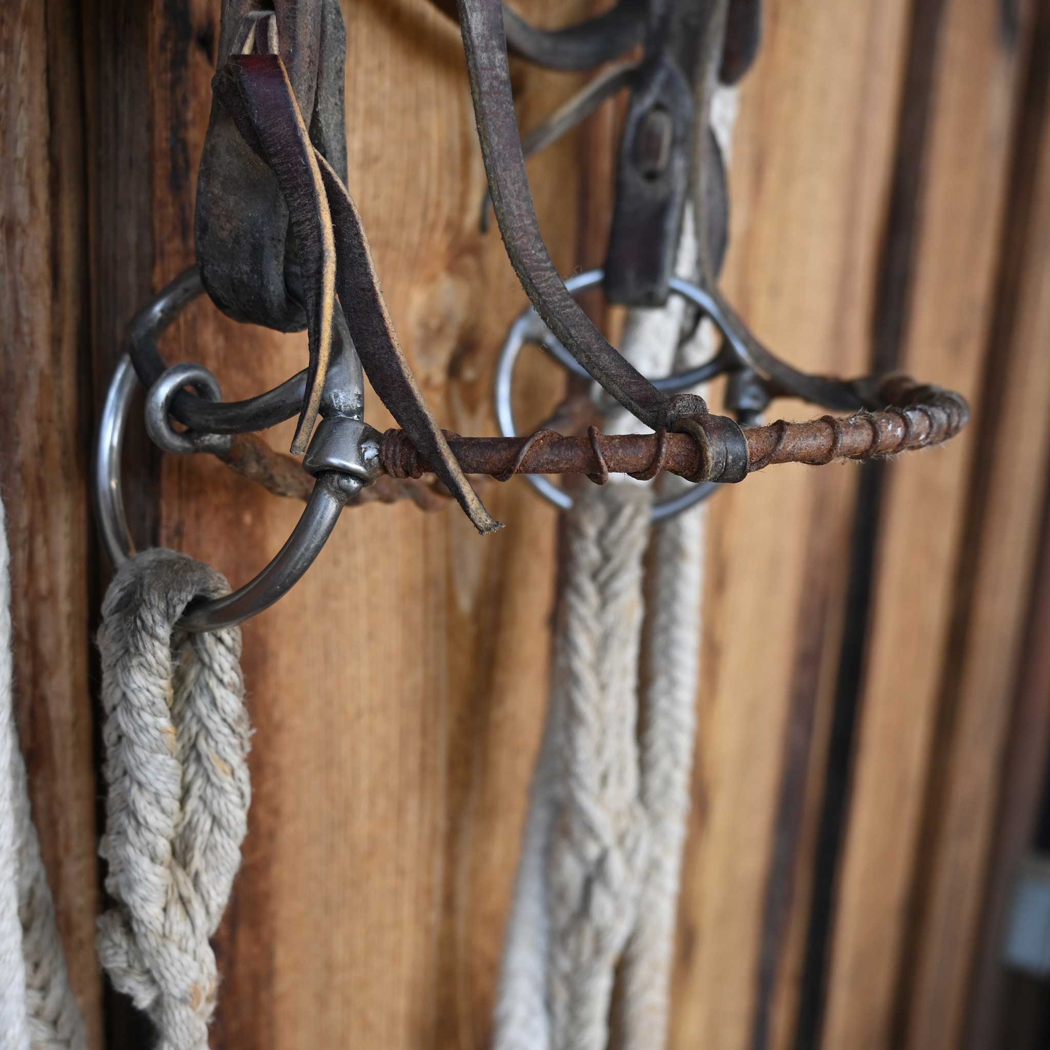 Locked O-Ring Twisted Wire Snaffle Bridle Rig w/Browband Headstall