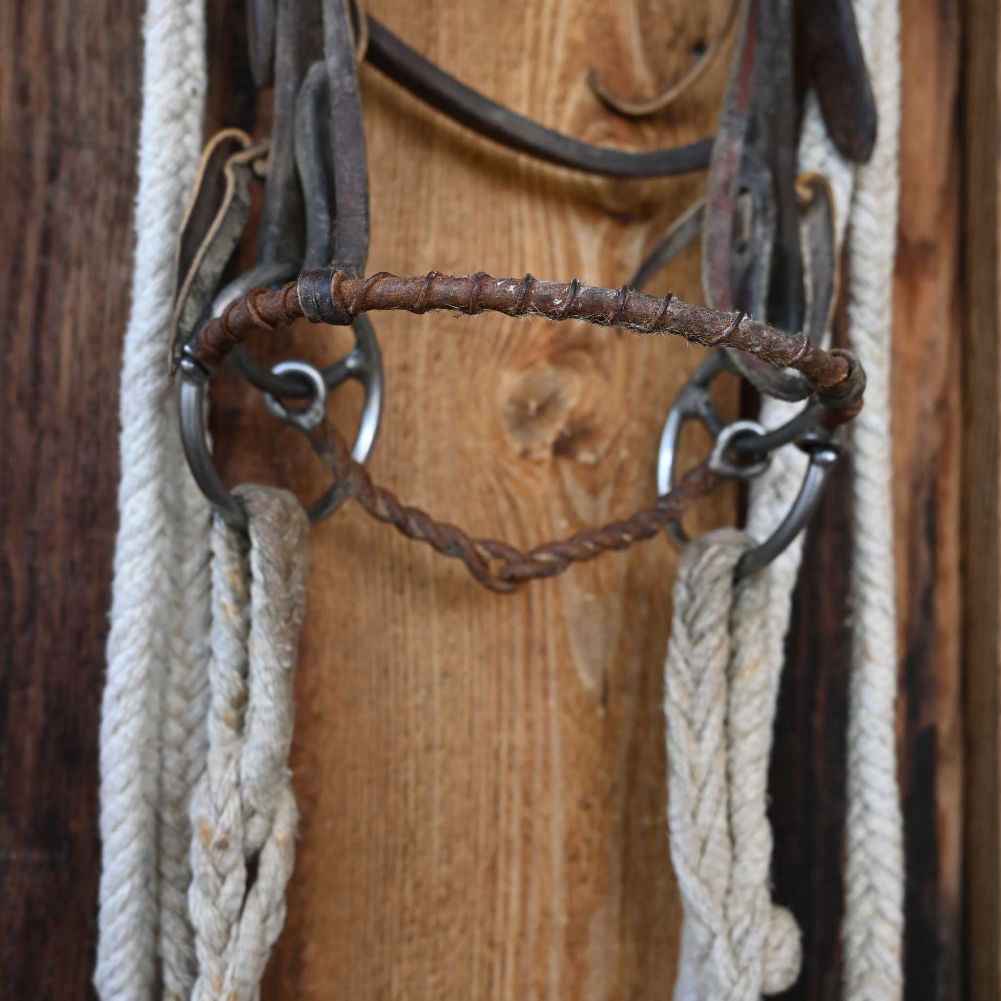 Locked O-Ring Twisted Wire Snaffle Bridle Rig w/Browband Headstall - Image 2
