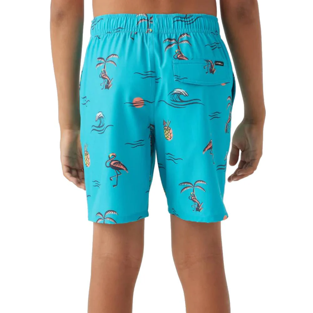 O'Neill Boy's Hermosa Crew Boardshorts - 16" - Image 3