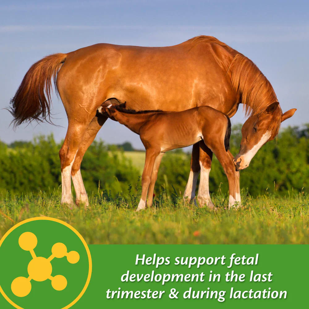 Farnam Mare Plus - Image 5