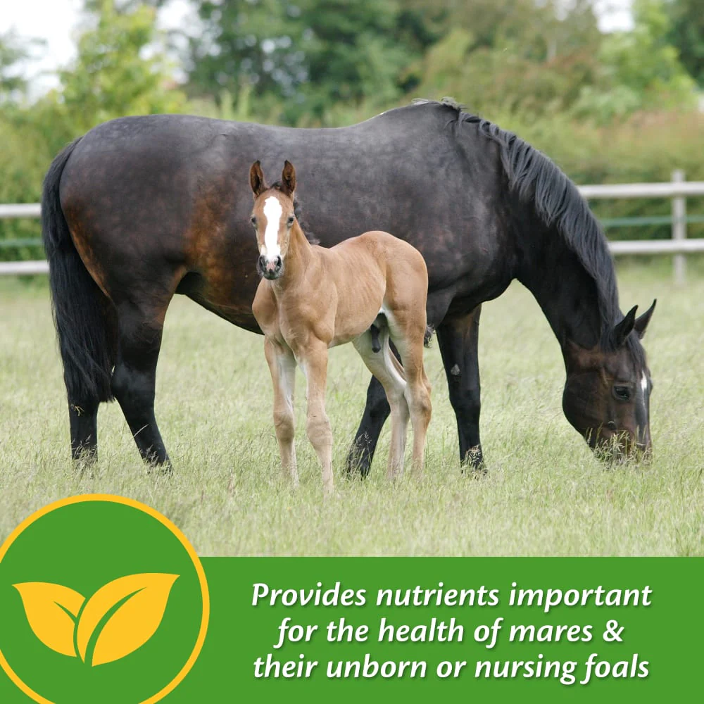 Farnam Mare Plus - Image 6